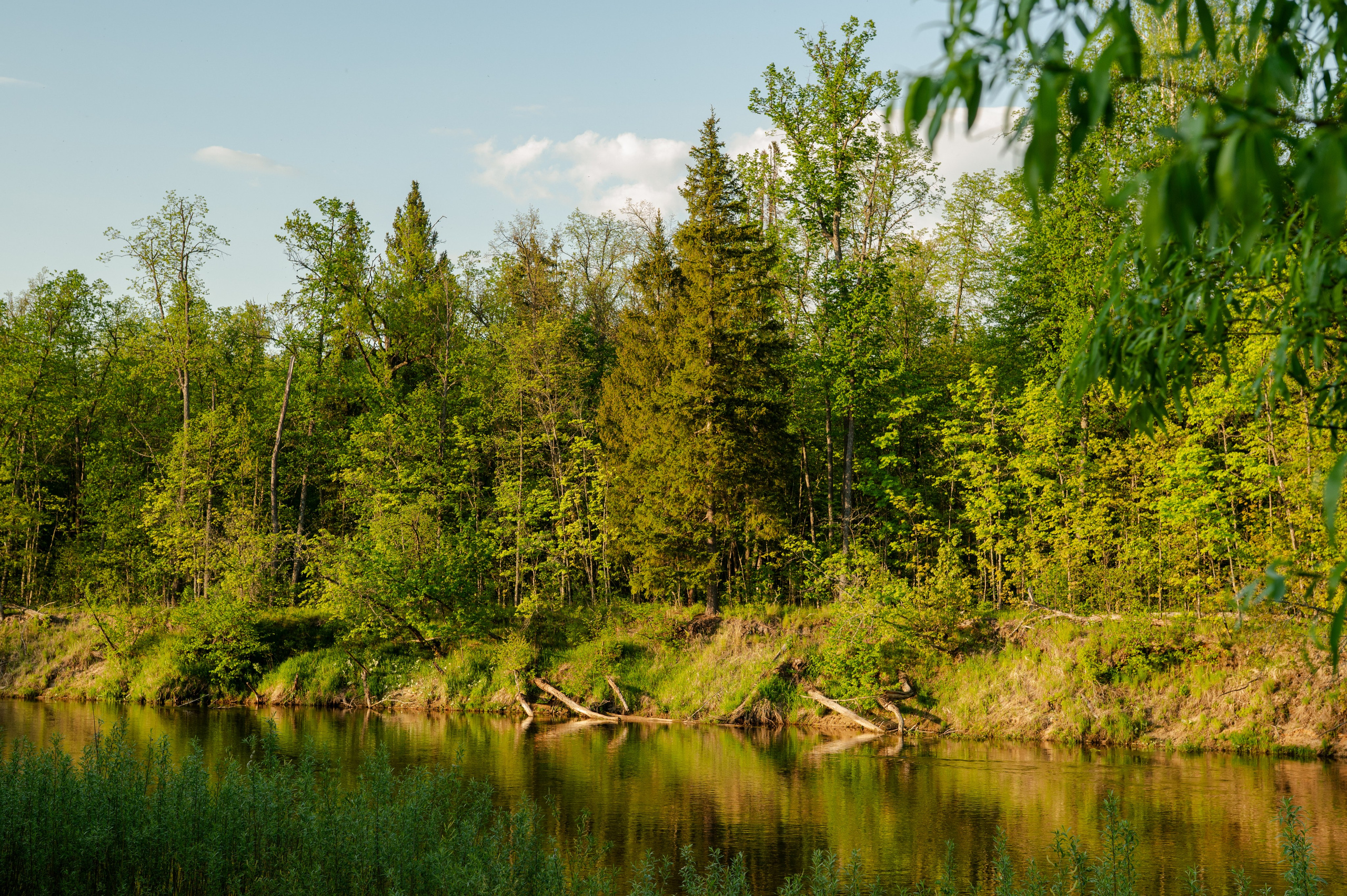 RIVER RAFTING. Свадебный и портретный фотограф в Казани