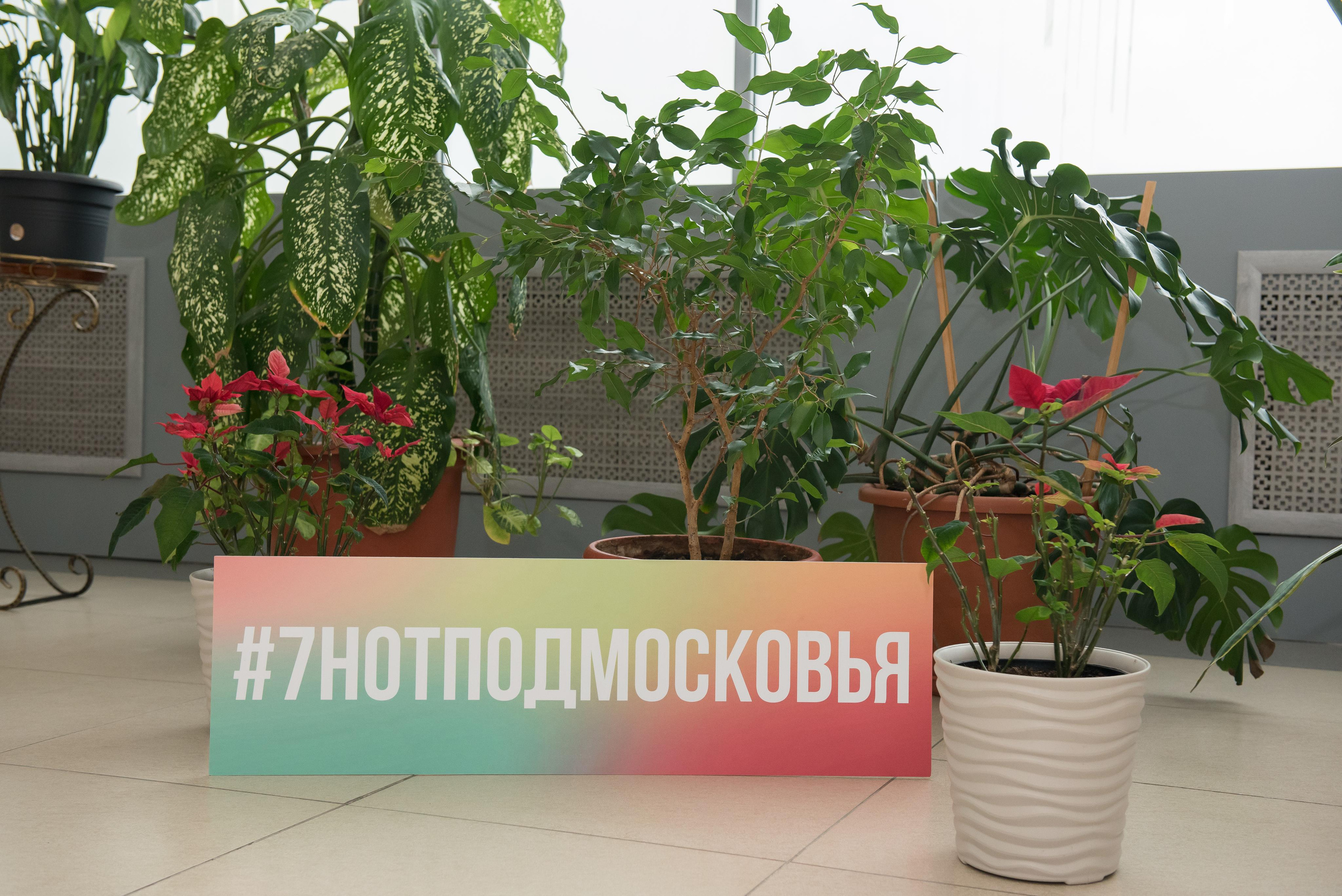 7 нот Подмосковья — Клин. Бренд-фотограф для экспертов и блогеров в Москве Влада Горбовская