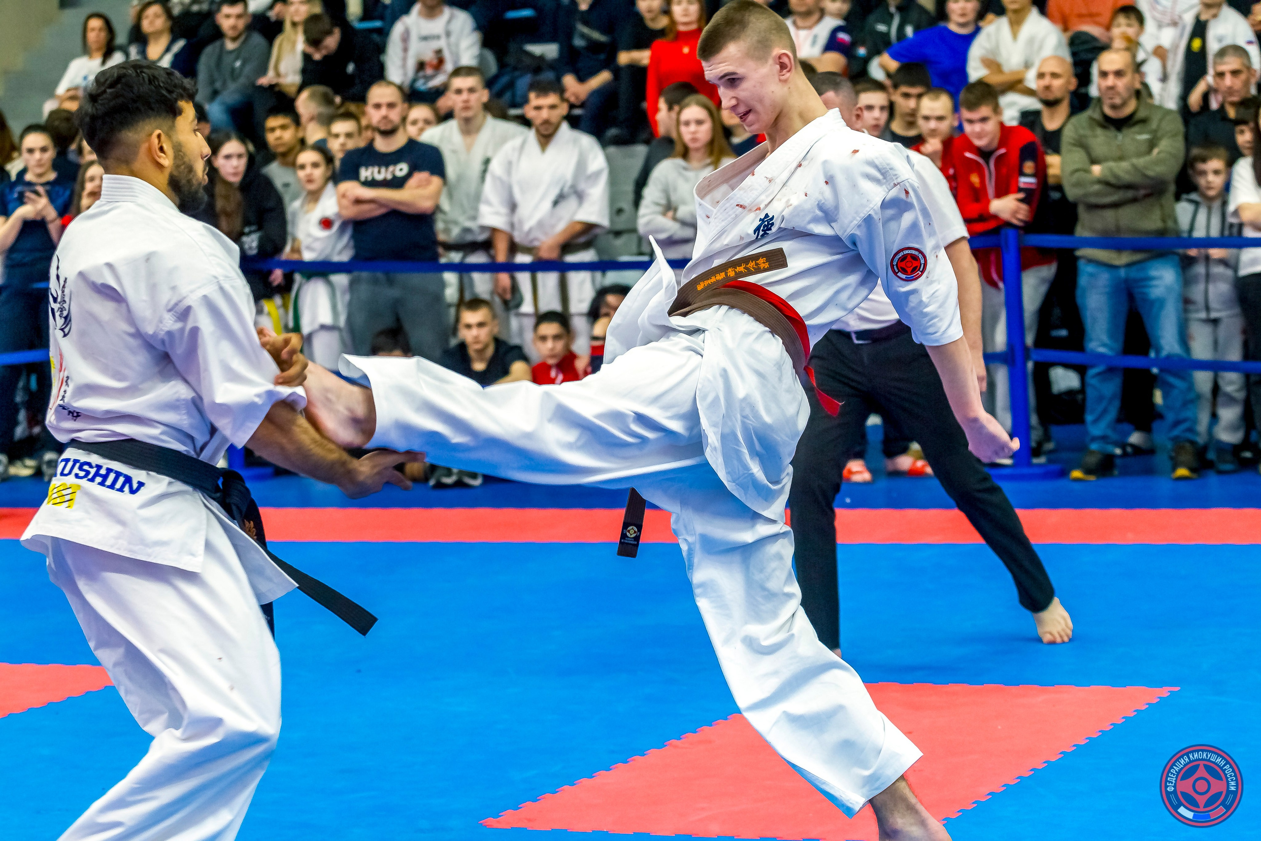 Международный турнир по киокушин «Открытый кубок Seiken». Репортажная съемка в Москве и области. Анималистика