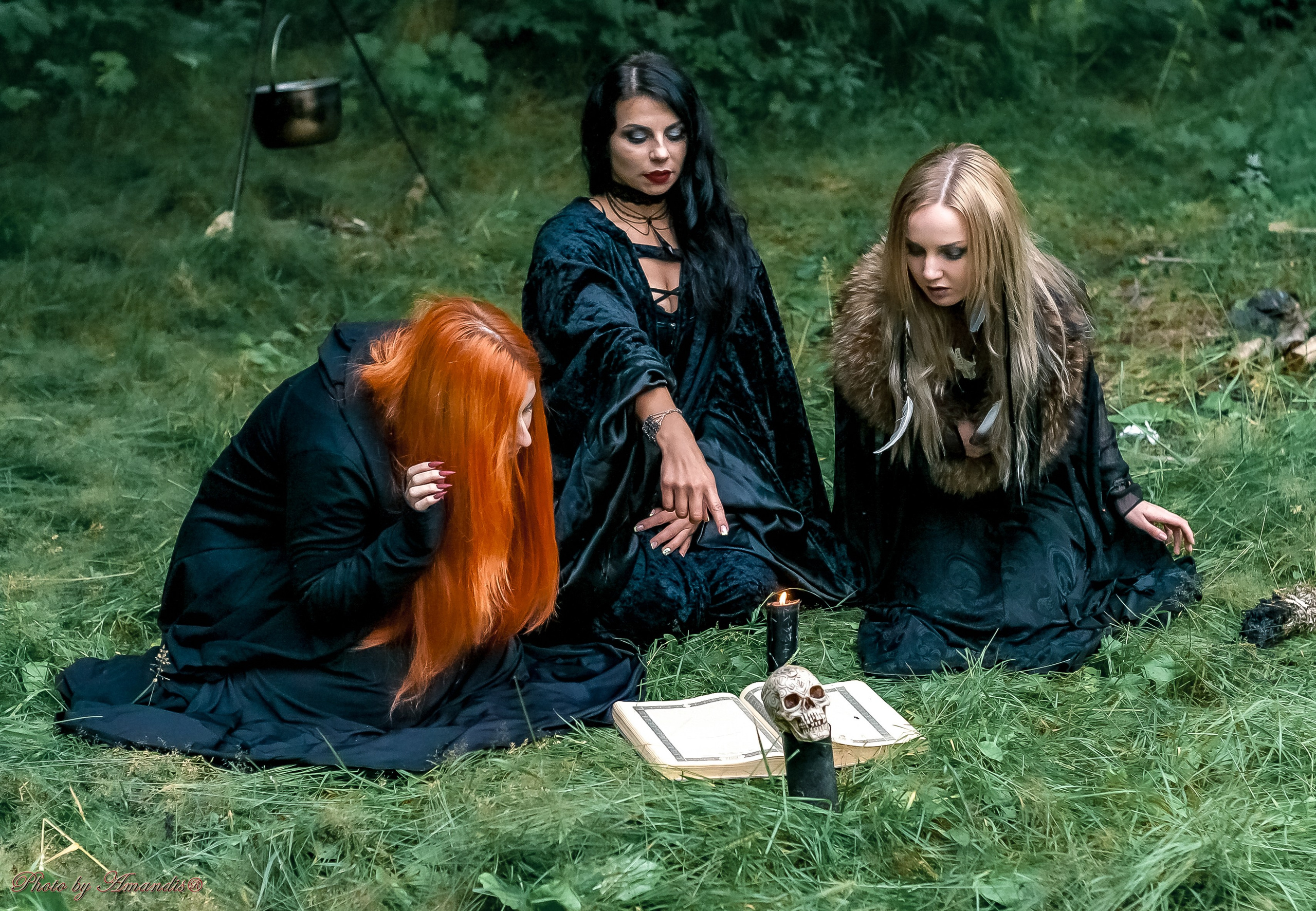 The witches. Репортажная съемка в Москве и области. Анималистика
