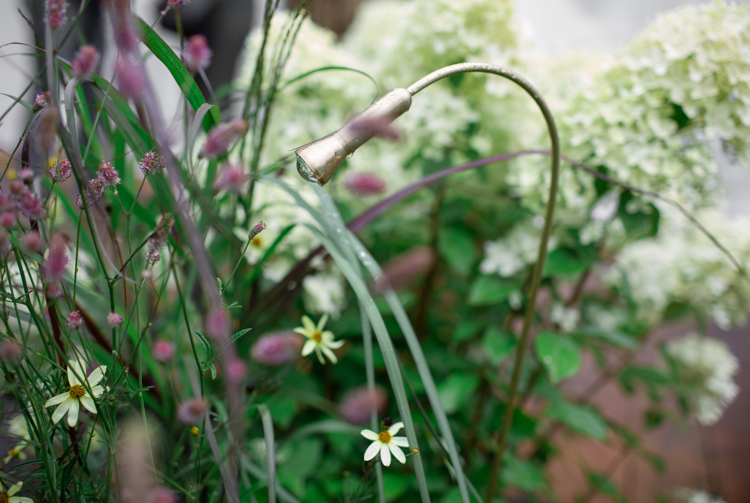 Декоративный ландшафтный свет TEMPARIUM. Фотограф Наталья Молчанова