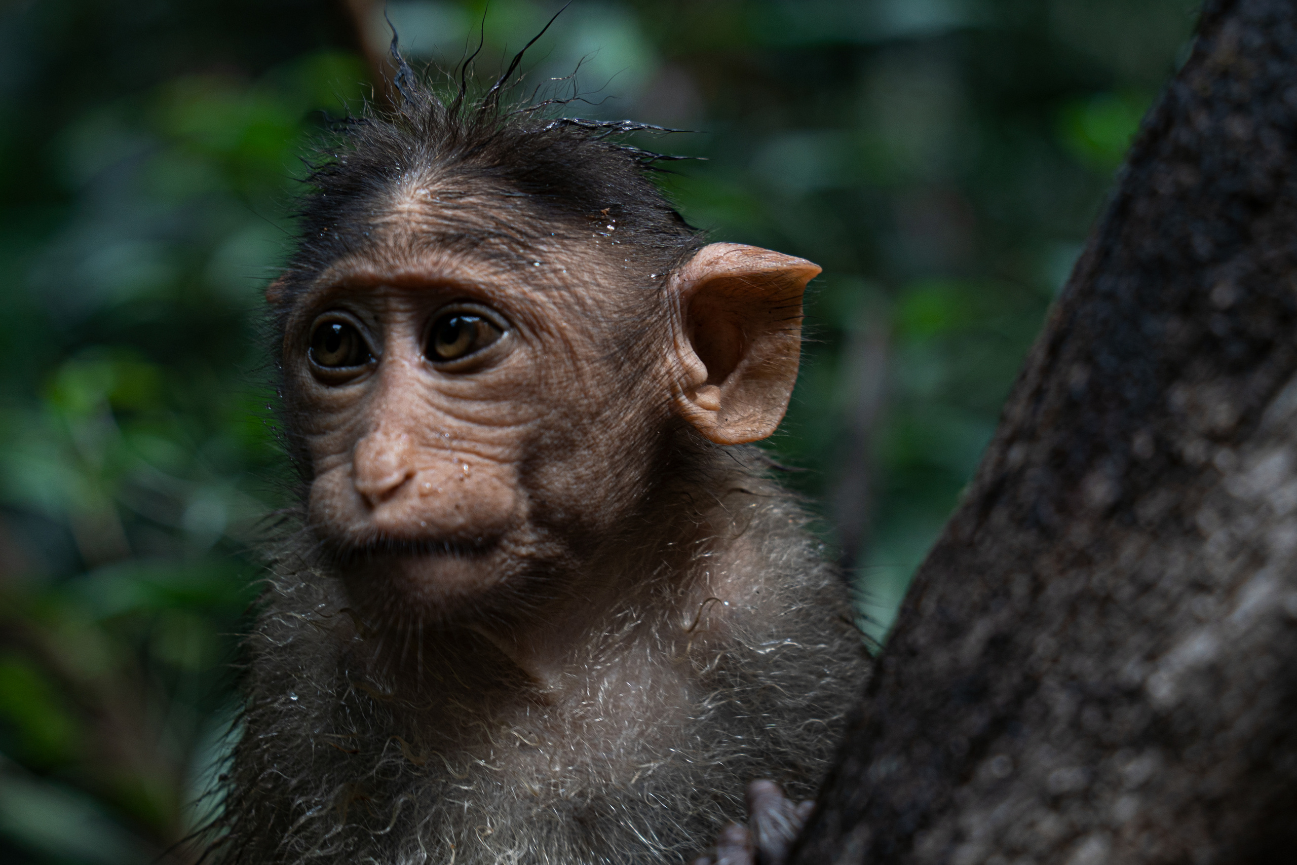 Индия 2022. Алексей Туренков — фото, видео, дизайн