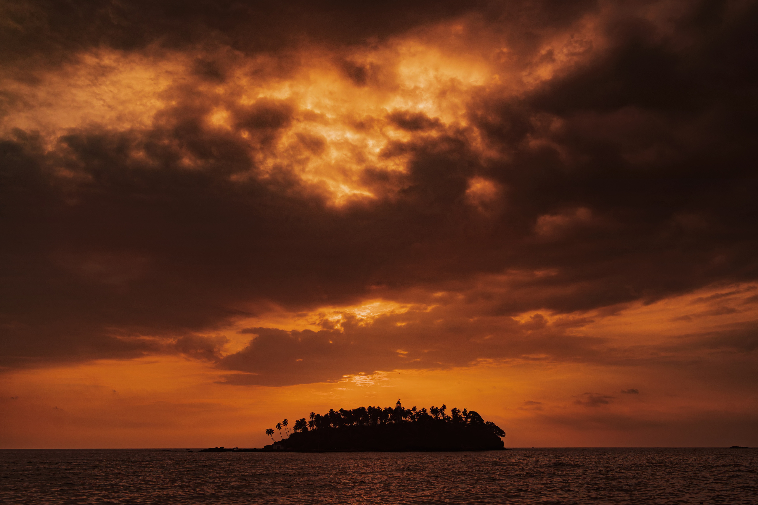 Шри-Ланка 2023. Алексей Туренков — фото, видео, дизайн