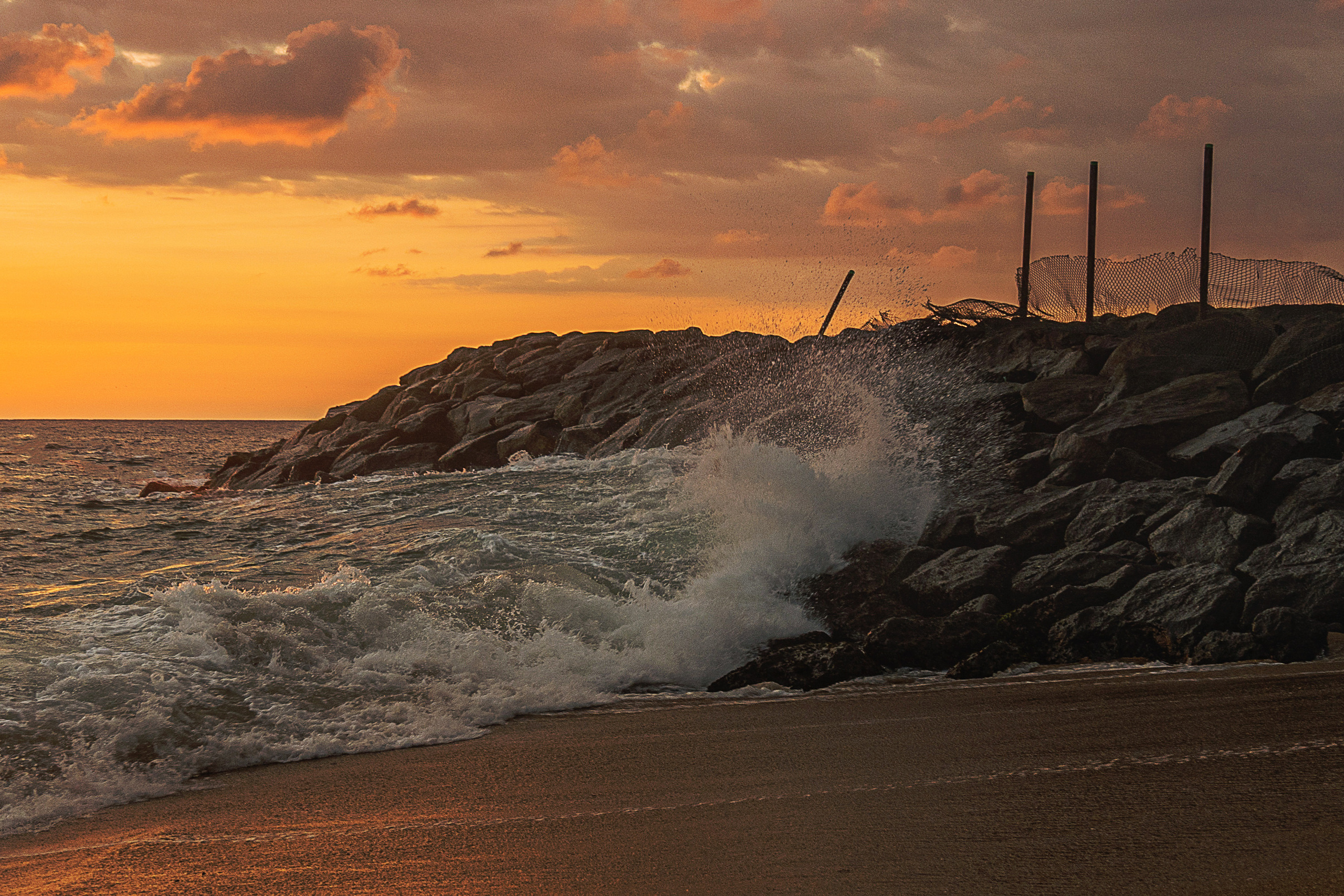 Шри-Ланка 2023. Алексей Туренков — фото, видео, дизайн