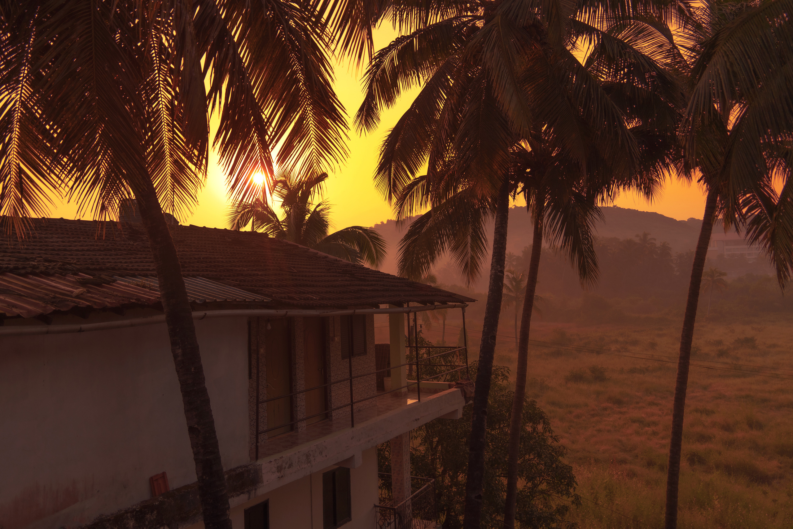 Индия 2022. Алексей Туренков — фото, видео, дизайн
