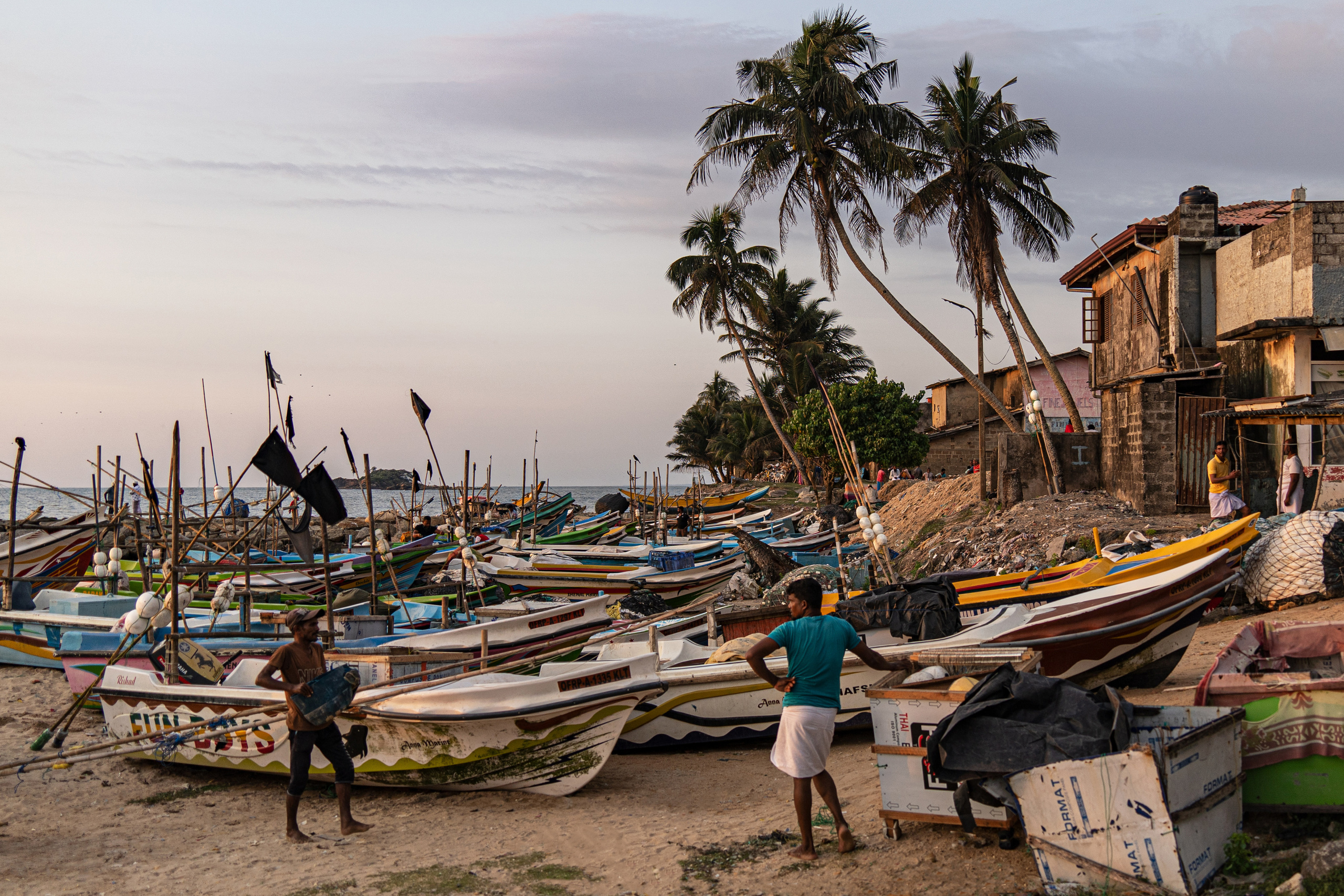 Шри-Ланка 2023. Алексей Туренков — фото, видео, дизайн
