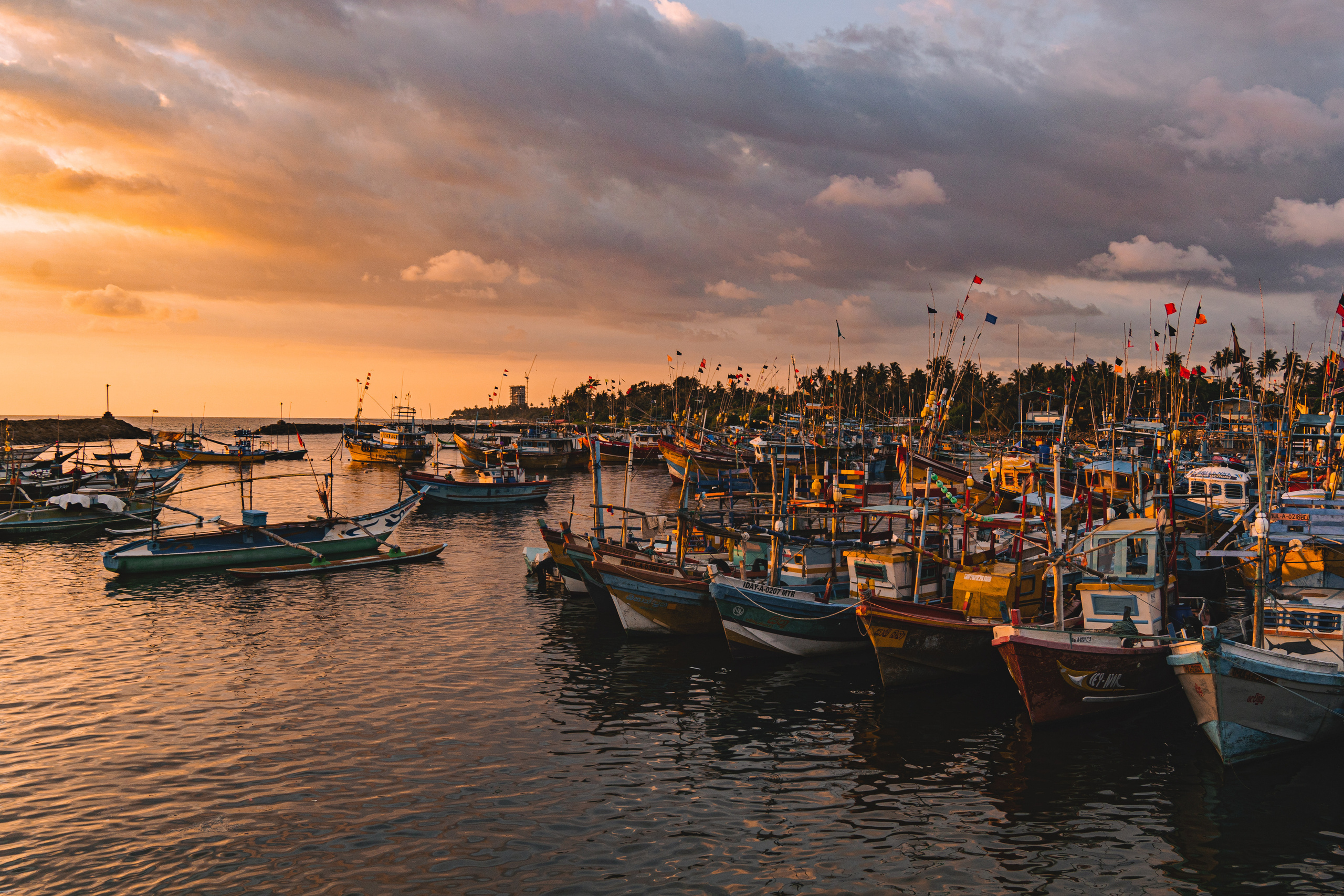 Шри-Ланка 2023. Алексей Туренков — фото, видео, дизайн