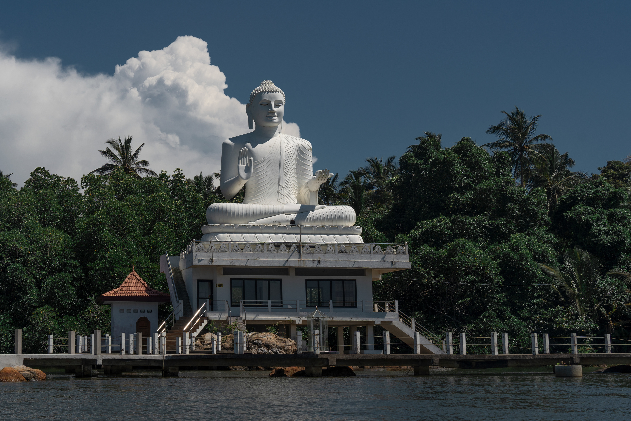 Шри-Ланка 2023. Алексей Туренков — фото, видео, дизайн