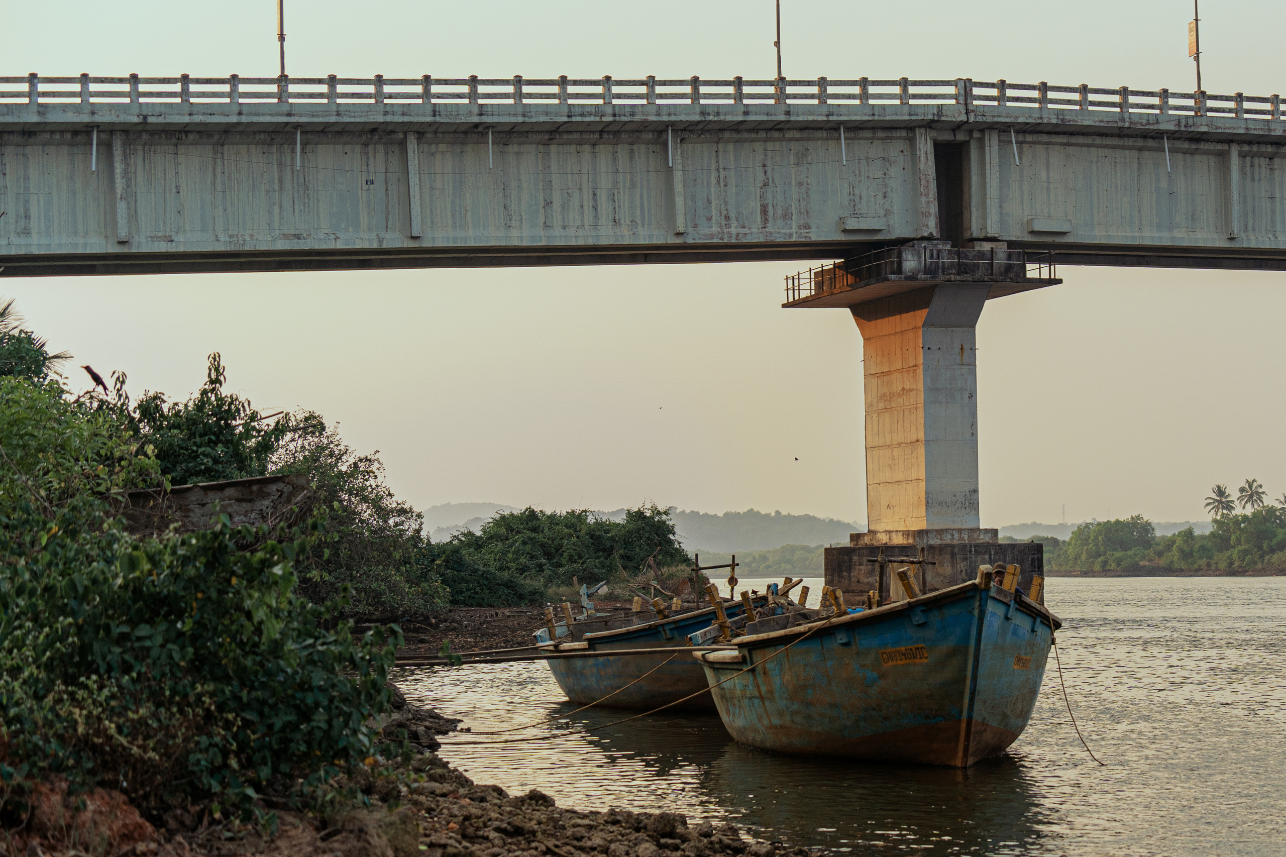 Индия 2022. Алексей Туренков — фото, видео, дизайн