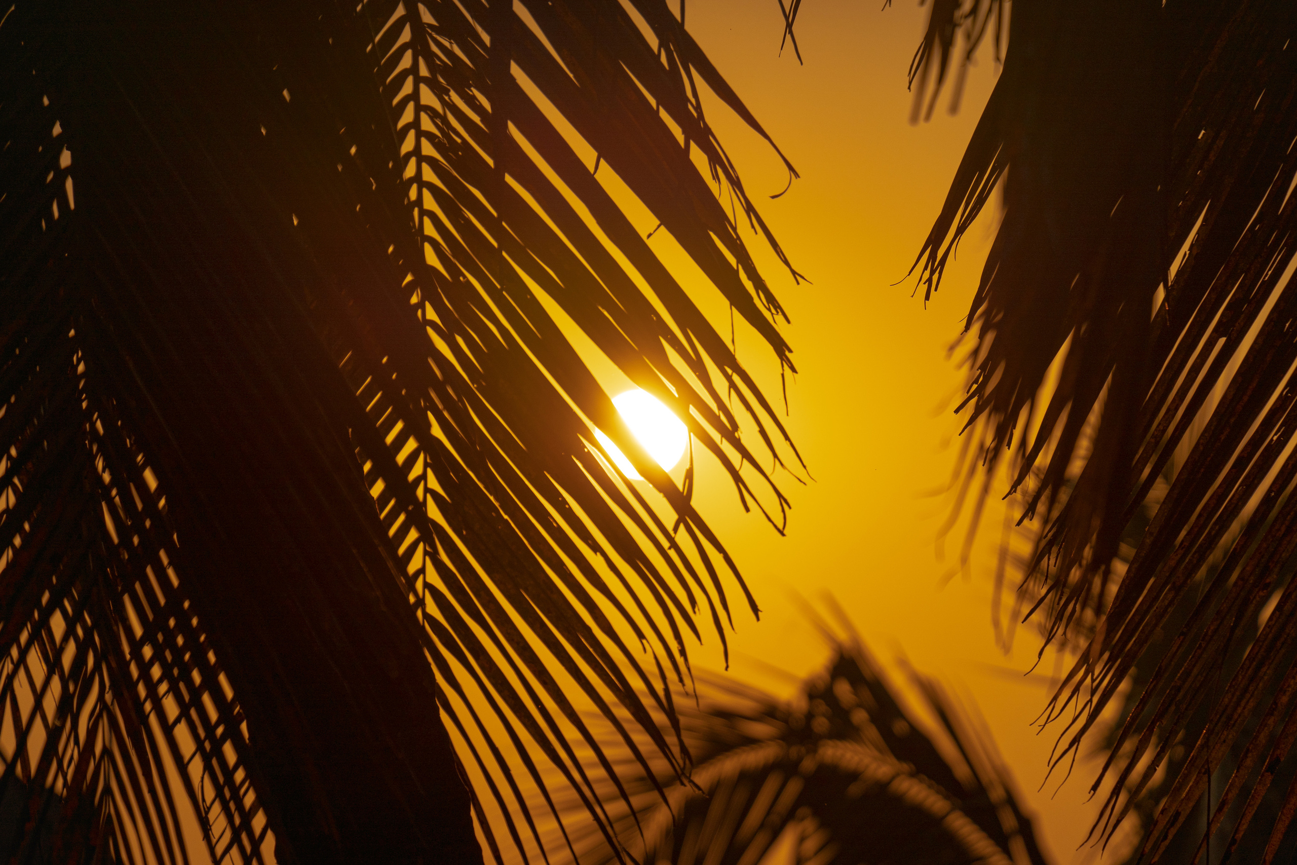 Индия 2022. Алексей Туренков — фото, видео, дизайн