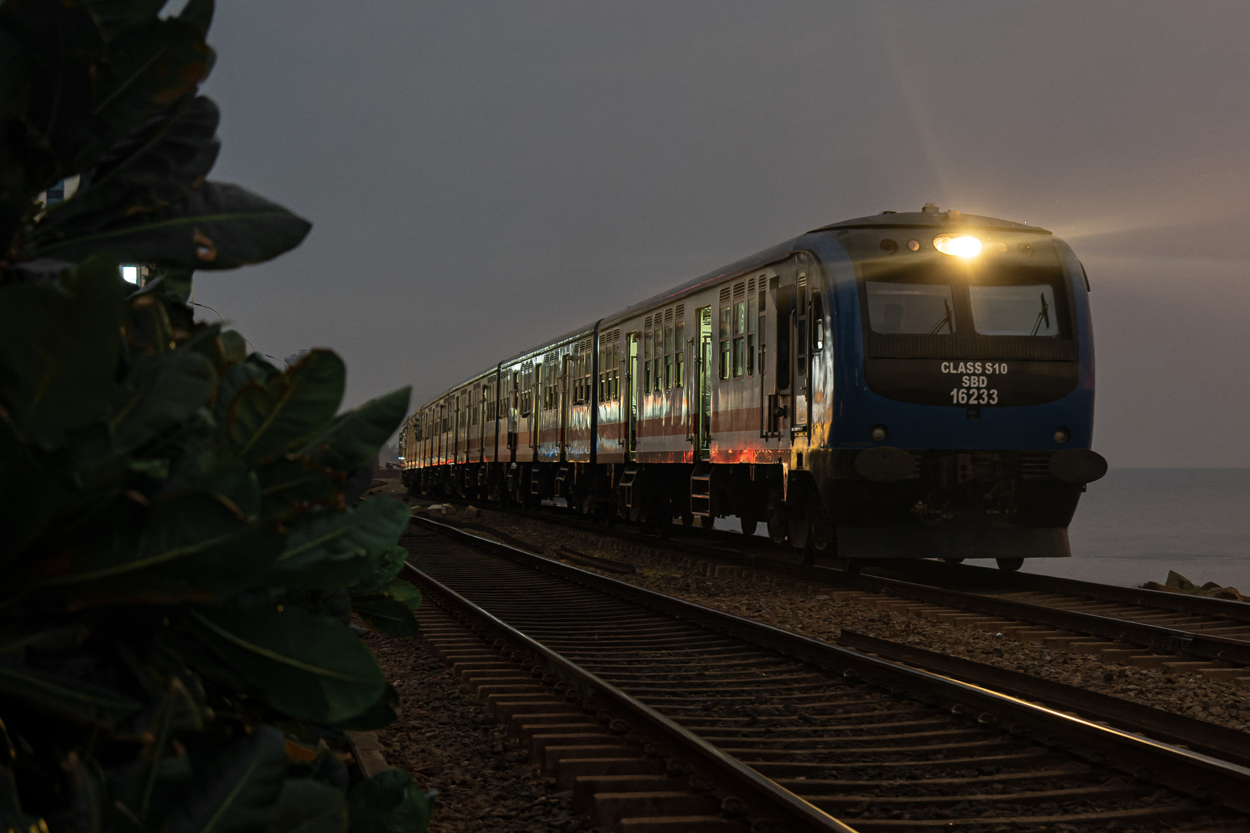 Шри-Ланка 2023. Алексей Туренков — фото, видео, дизайн