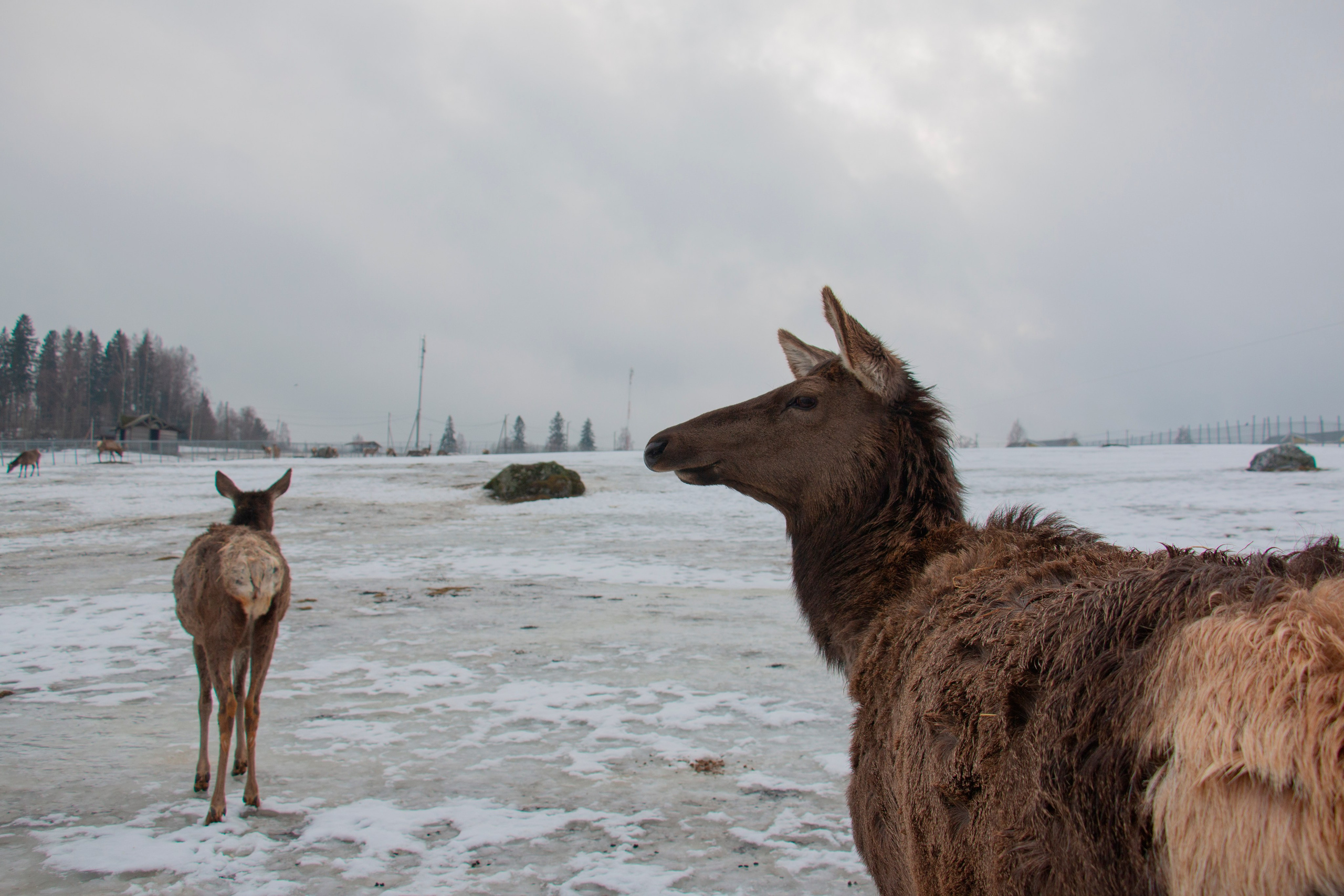 Пейзажи. Фотограф из Санкт-Петербурга — Виктория Горелкова