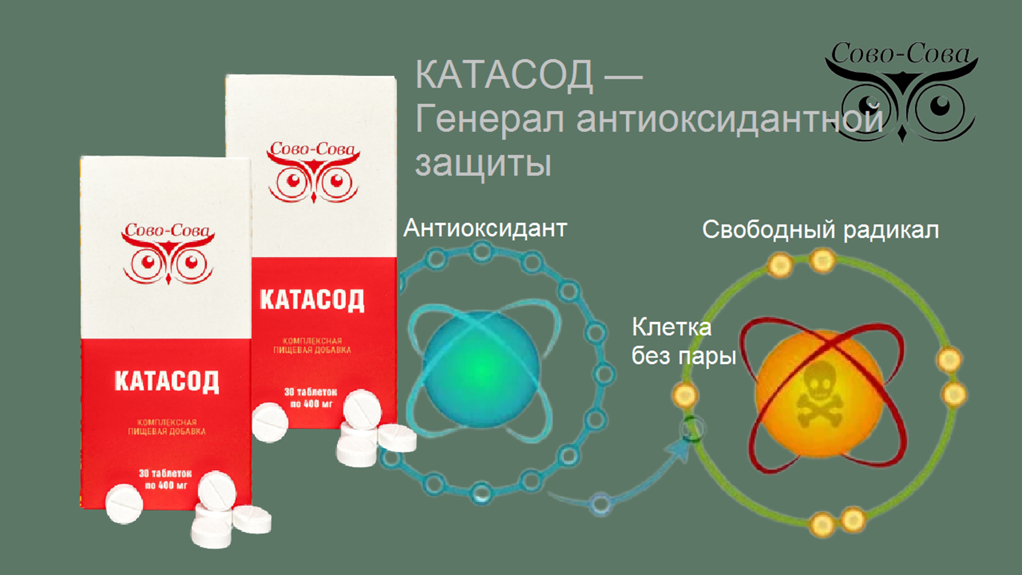 КПД компании Сово-Сова. Сово-Сово — Омоложение и оздоровление!