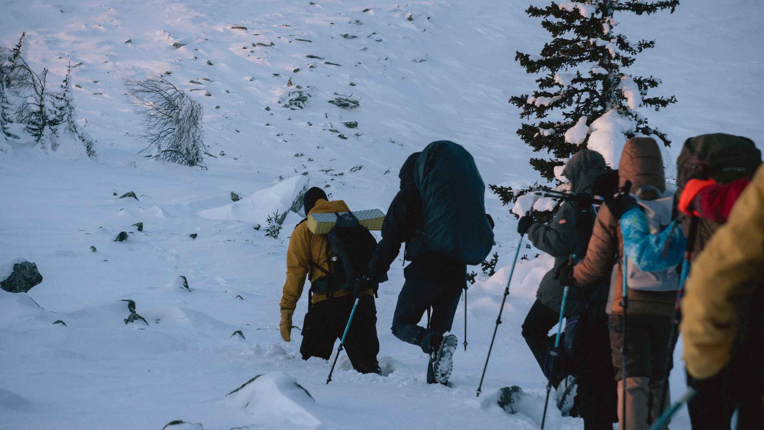 Прайс-лист на услуги. NECULTURED PHOTOGRAPHER