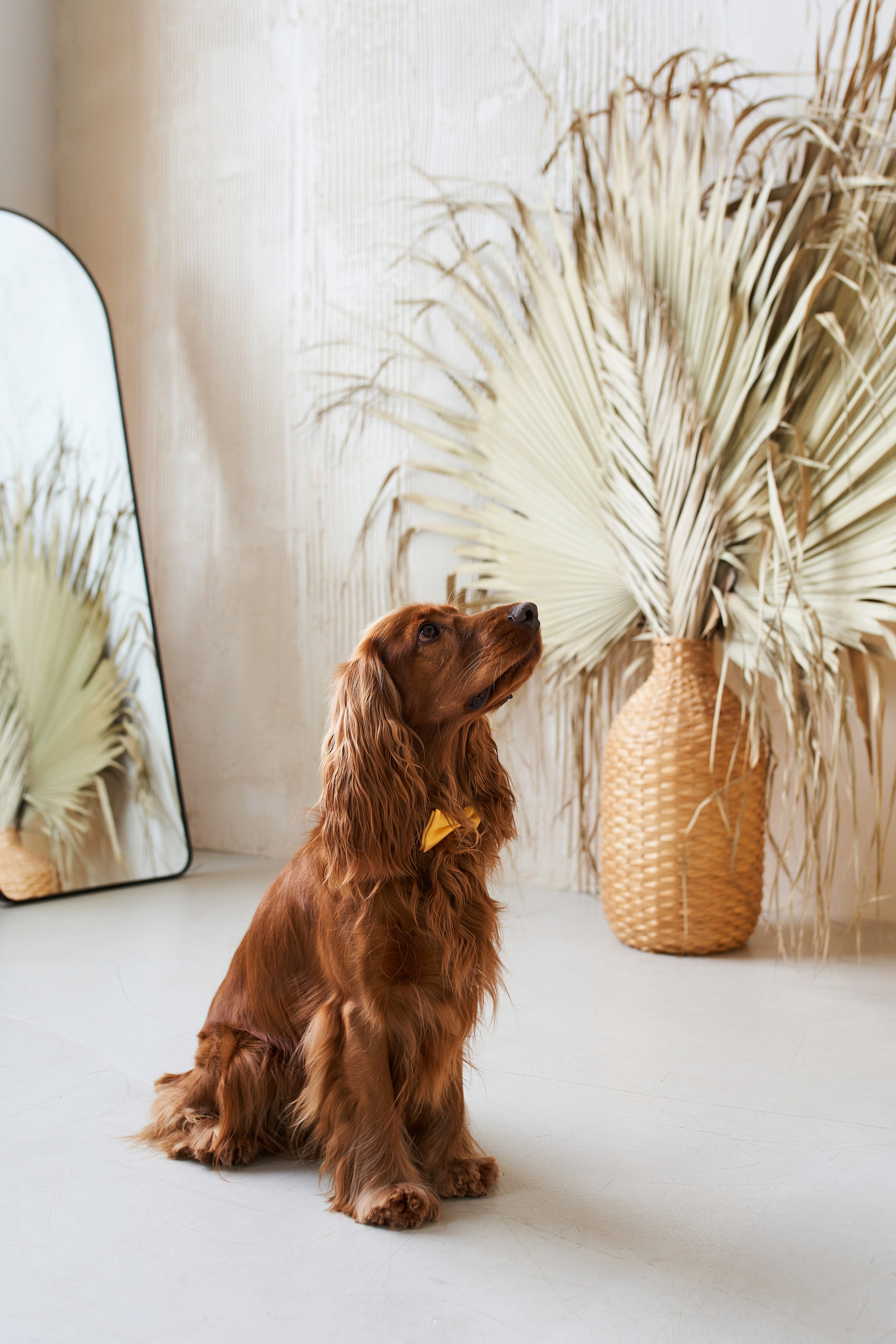 Галя и Гриша. Фотограф Александра