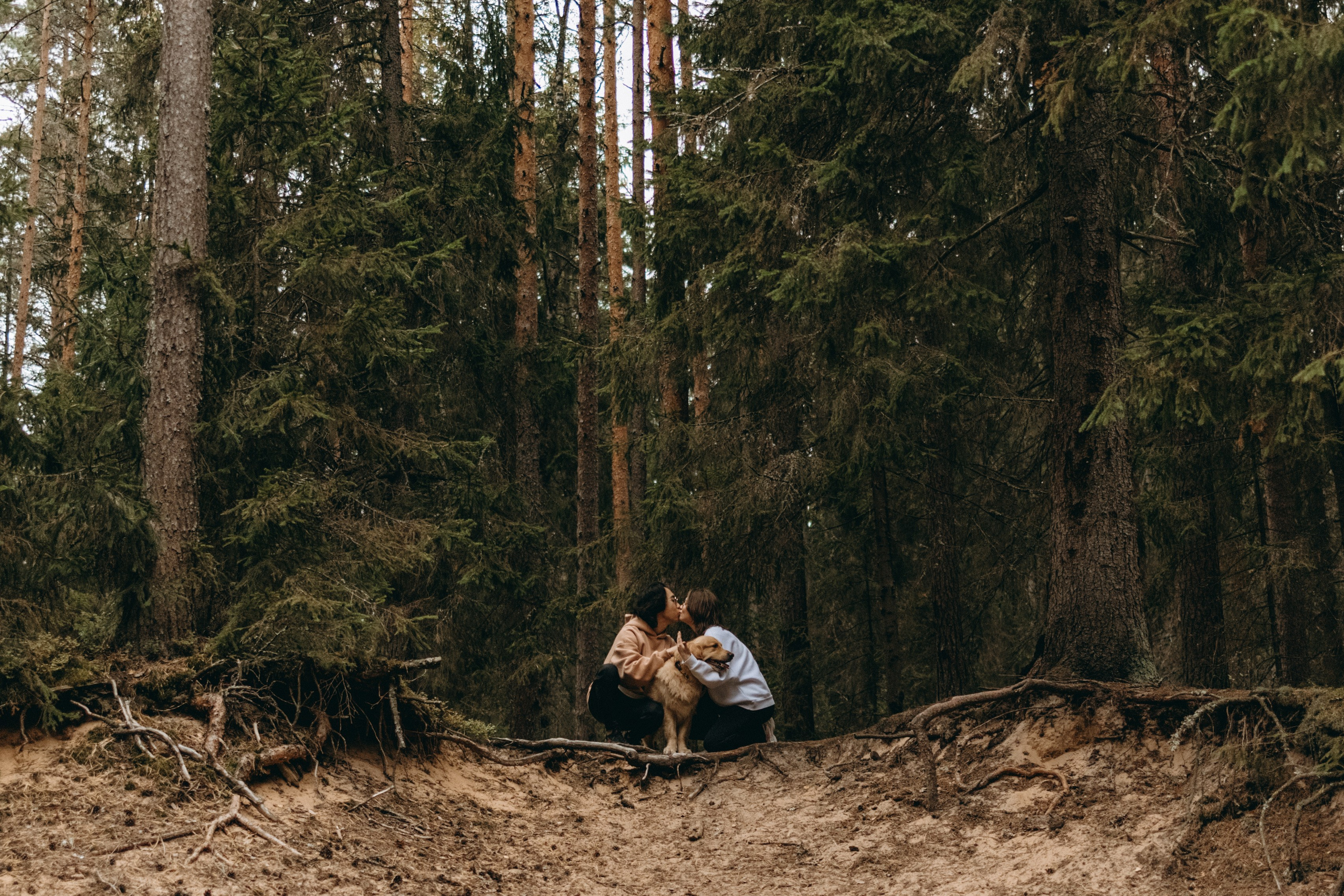 Фоси и его семьи. Фотограф — Анималист | Санкт-Петербург