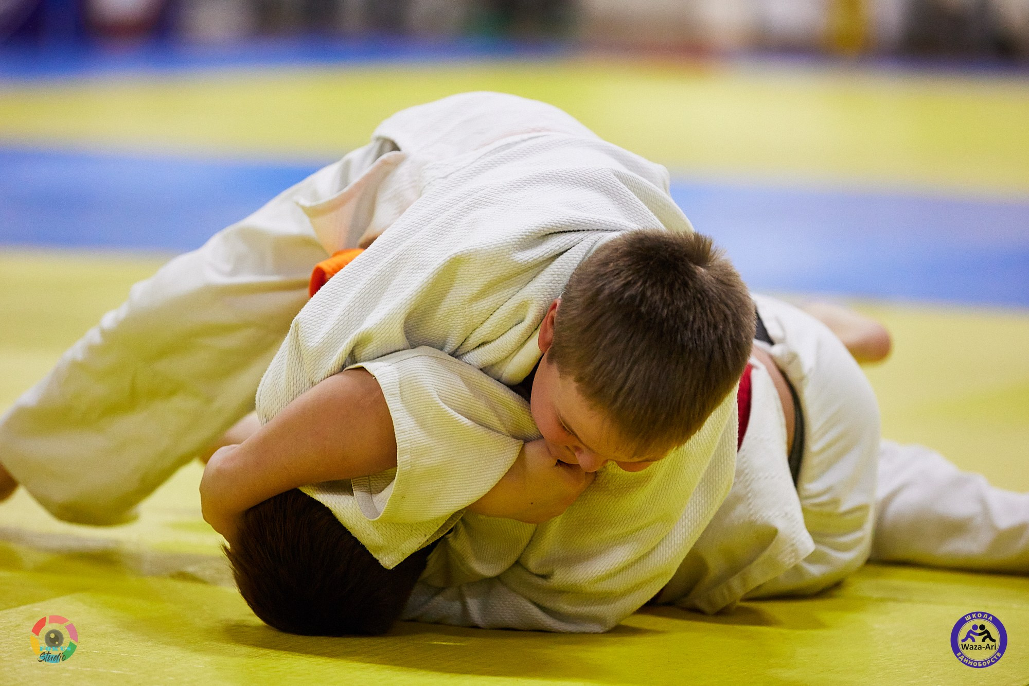 Репортаж Турнир по дзюдо. Спортивный фотограф Некрасов Денис