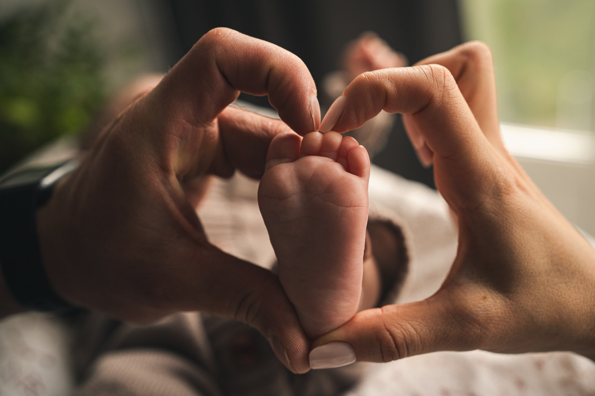 Zekons. Фото, видео, нейросети