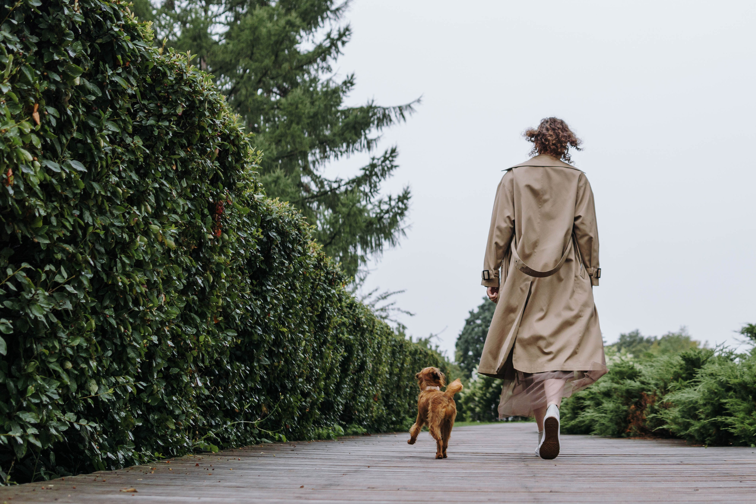 Наташа, Сережа и Хавьер. Фотограф-анималист Ксения Воробьева, Москва