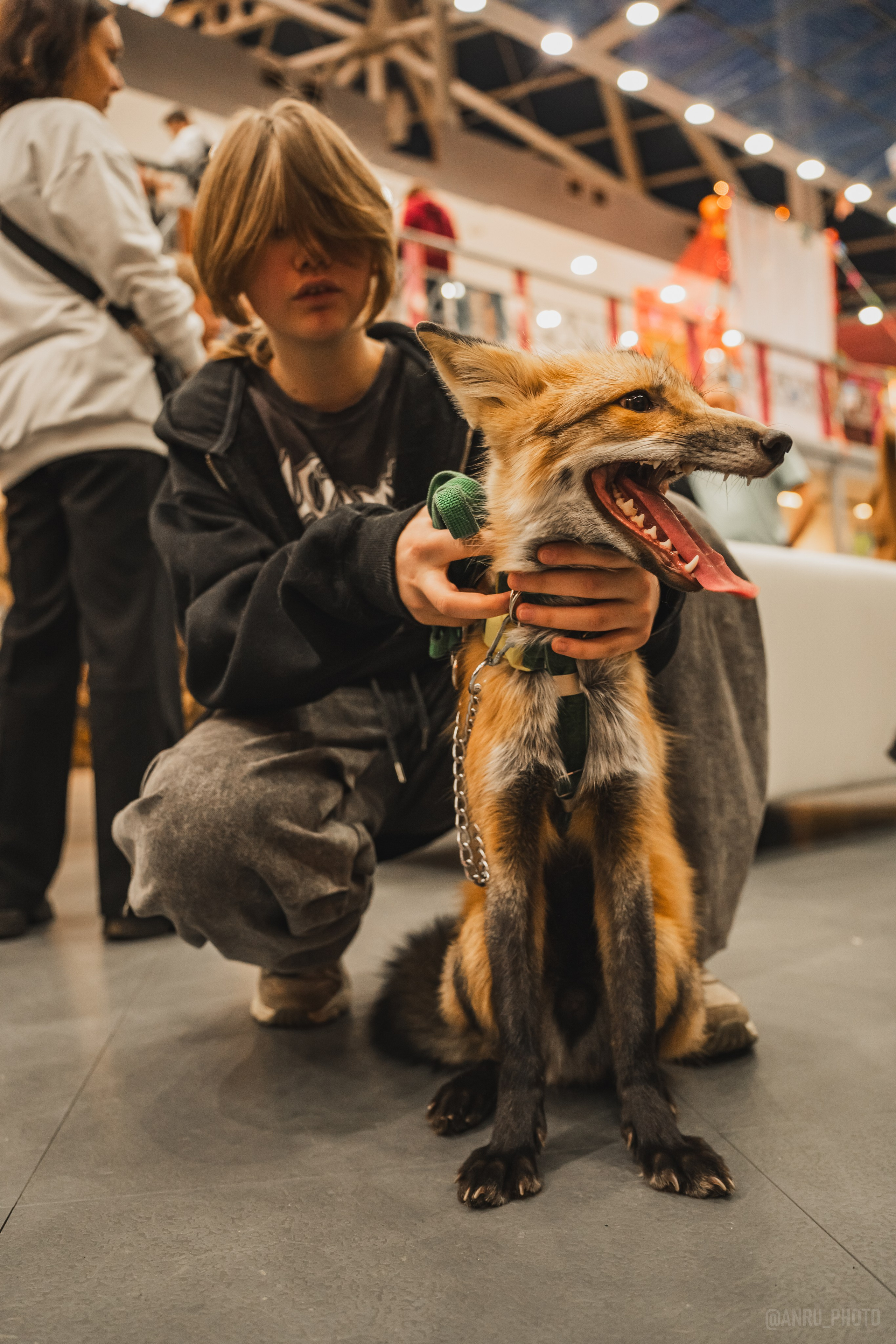 Fox Family fest. Репортажный фотограф Анастасия Рубцова