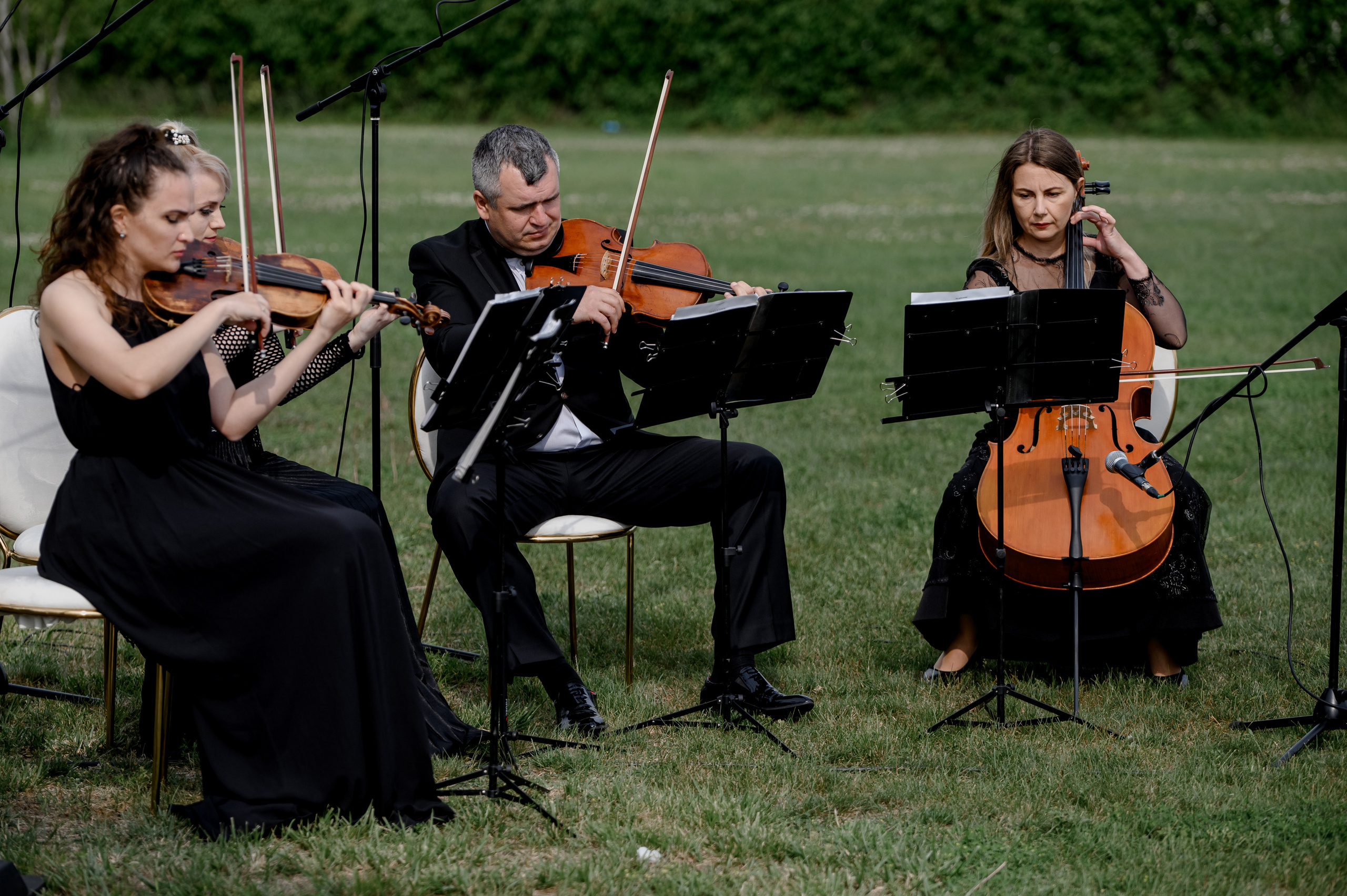 Елизавета & Сергей. Сергей Каба|Свадебный фотограф Сочи - атмосфера торжества остается с в
