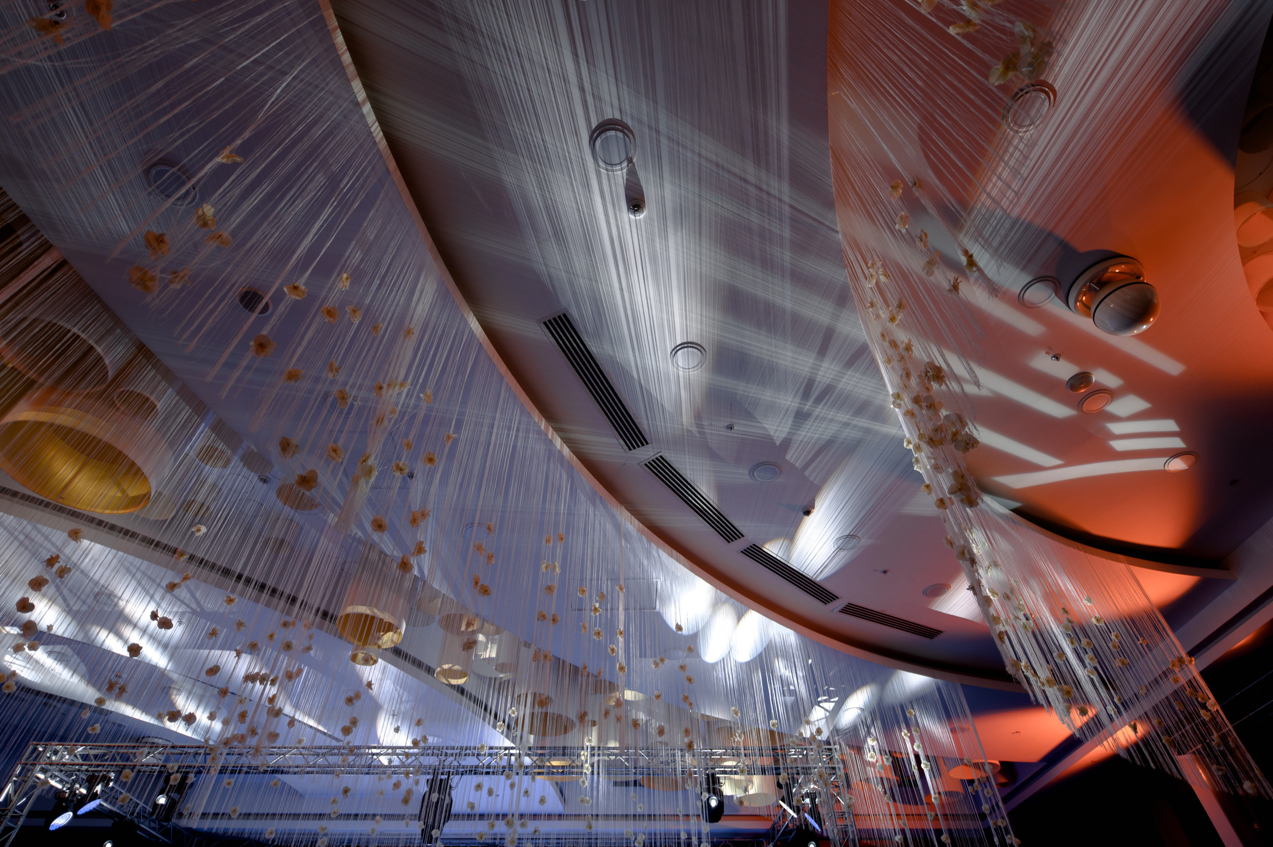 Елизавета & Сергей. Сергей Каба|Свадебный фотограф Сочи - атмосфера торжества остается с в