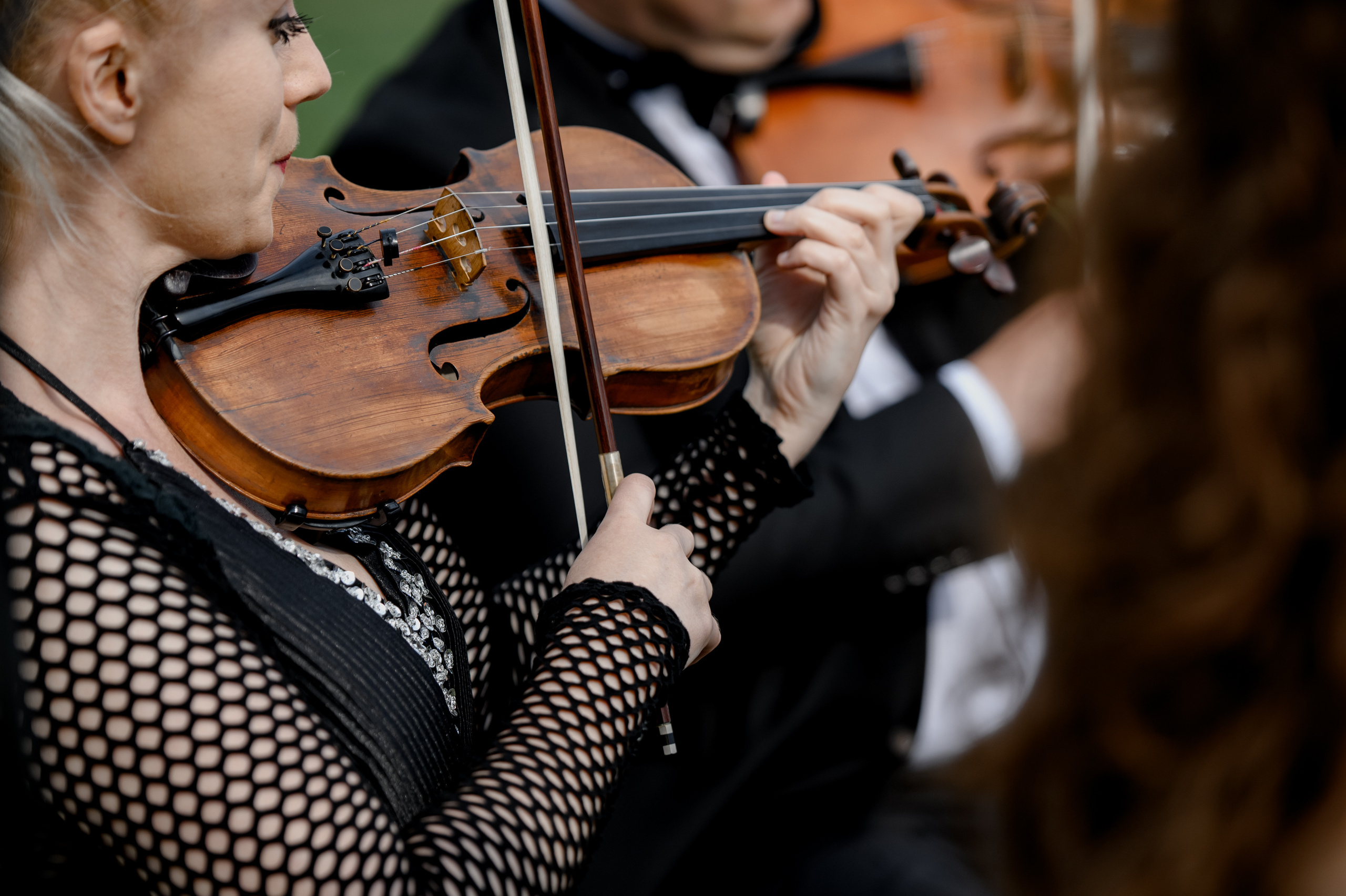 Елизавета & Сергей. Сергей Каба|Свадебный фотограф Сочи - атмосфера торжества остается с в