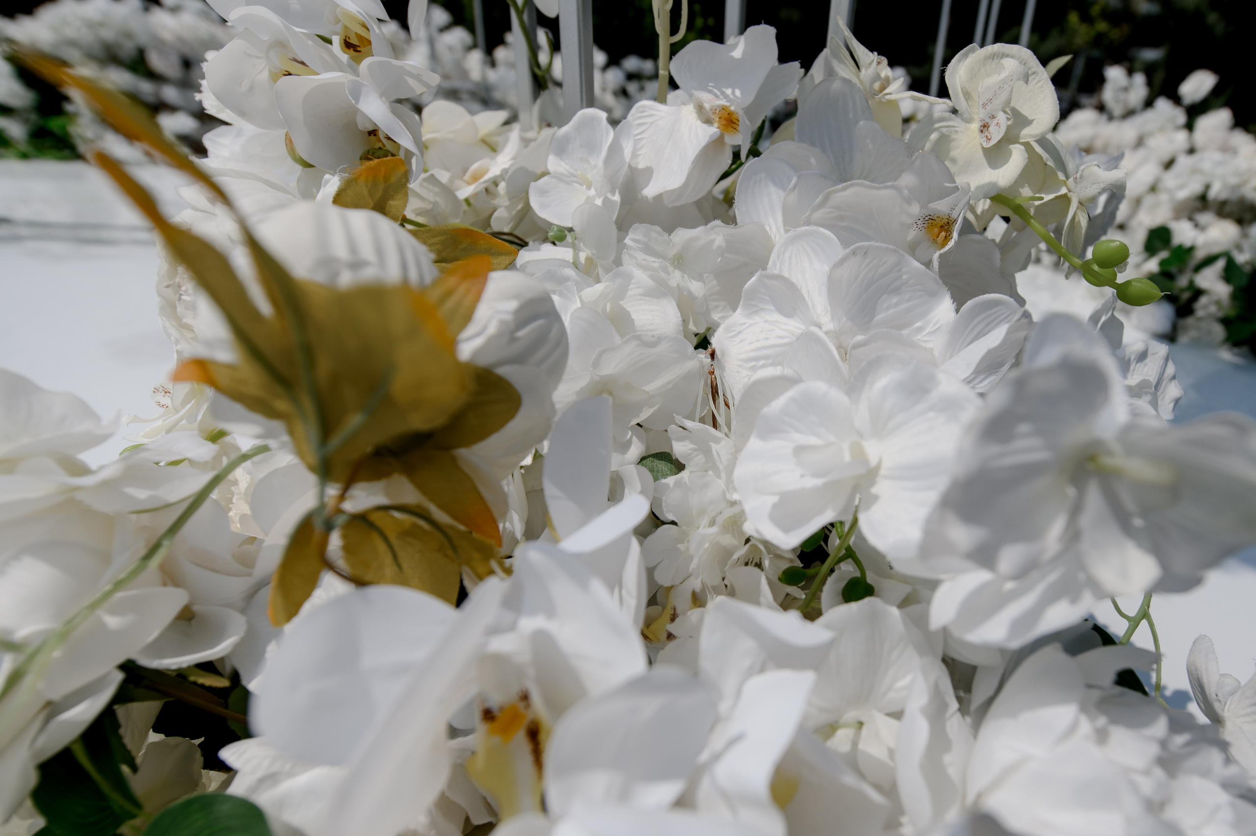 Елизавета & Сергей. Сергей Каба|Свадебный фотограф Сочи - атмосфера торжества остается с в