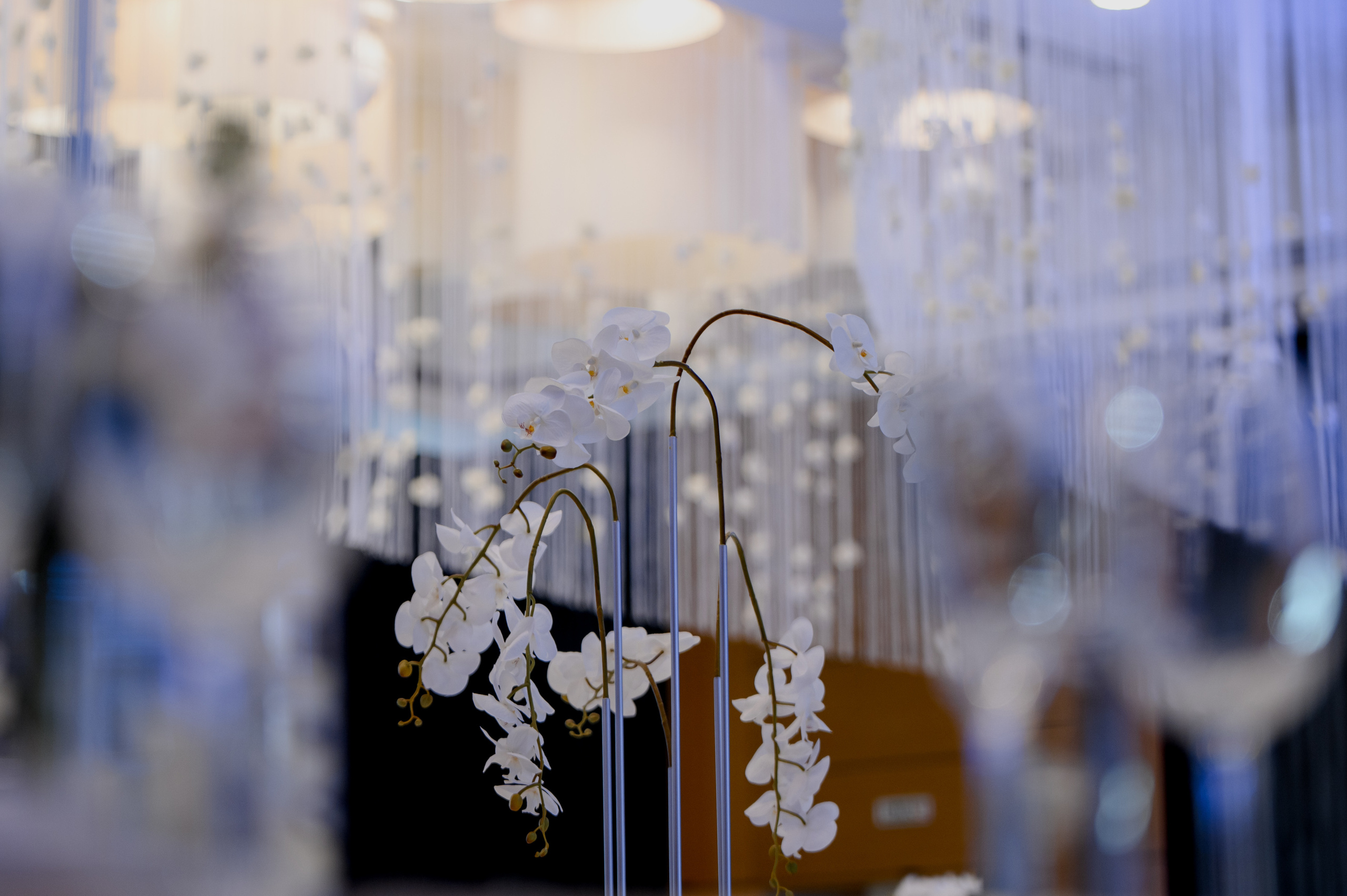 Елизавета & Сергей. Сергей Каба|Свадебный фотограф Сочи - атмосфера торжества остается с в