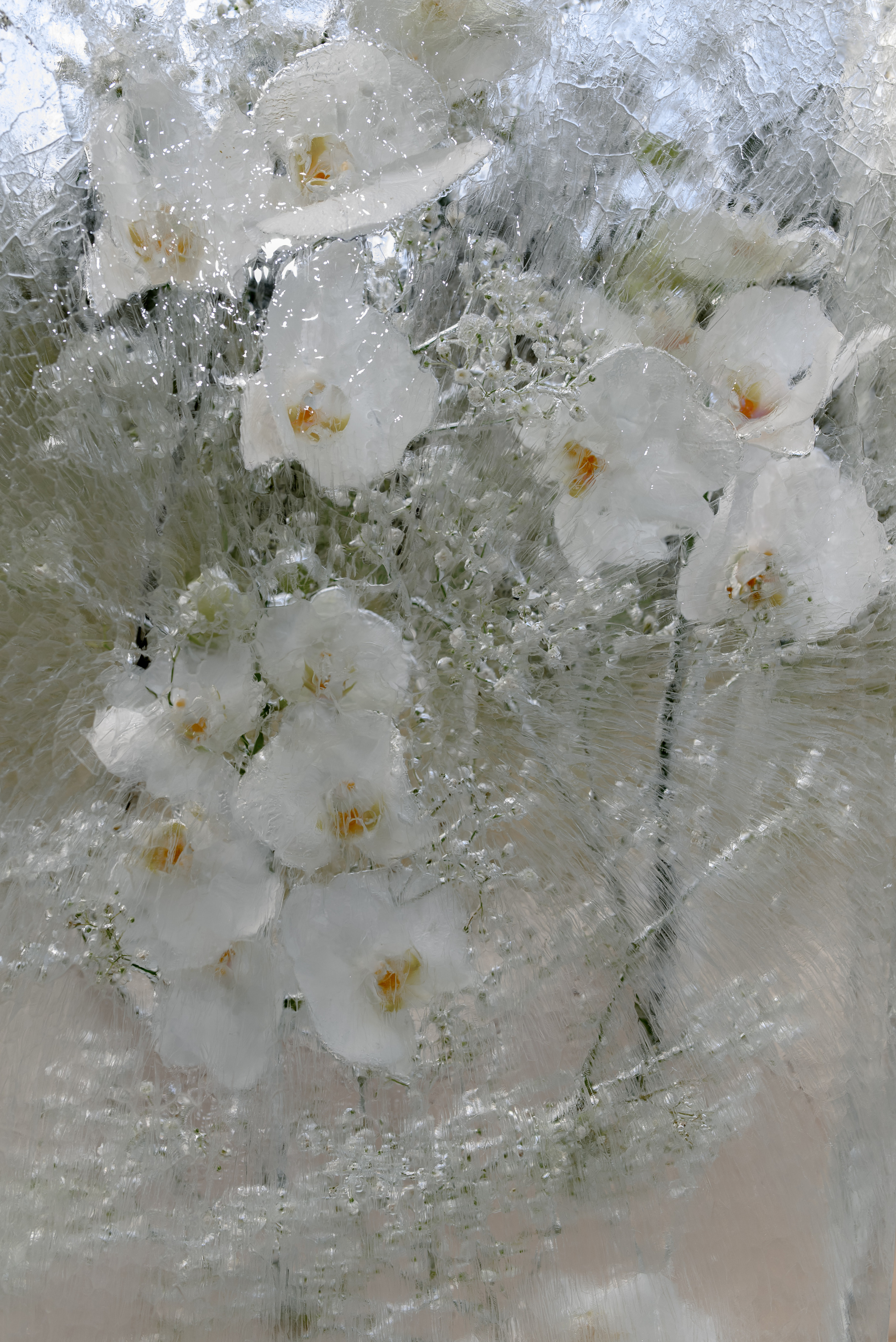 Елизавета & Сергей. Сергей Каба|Свадебный фотограф Сочи - атмосфера торжества остается с в