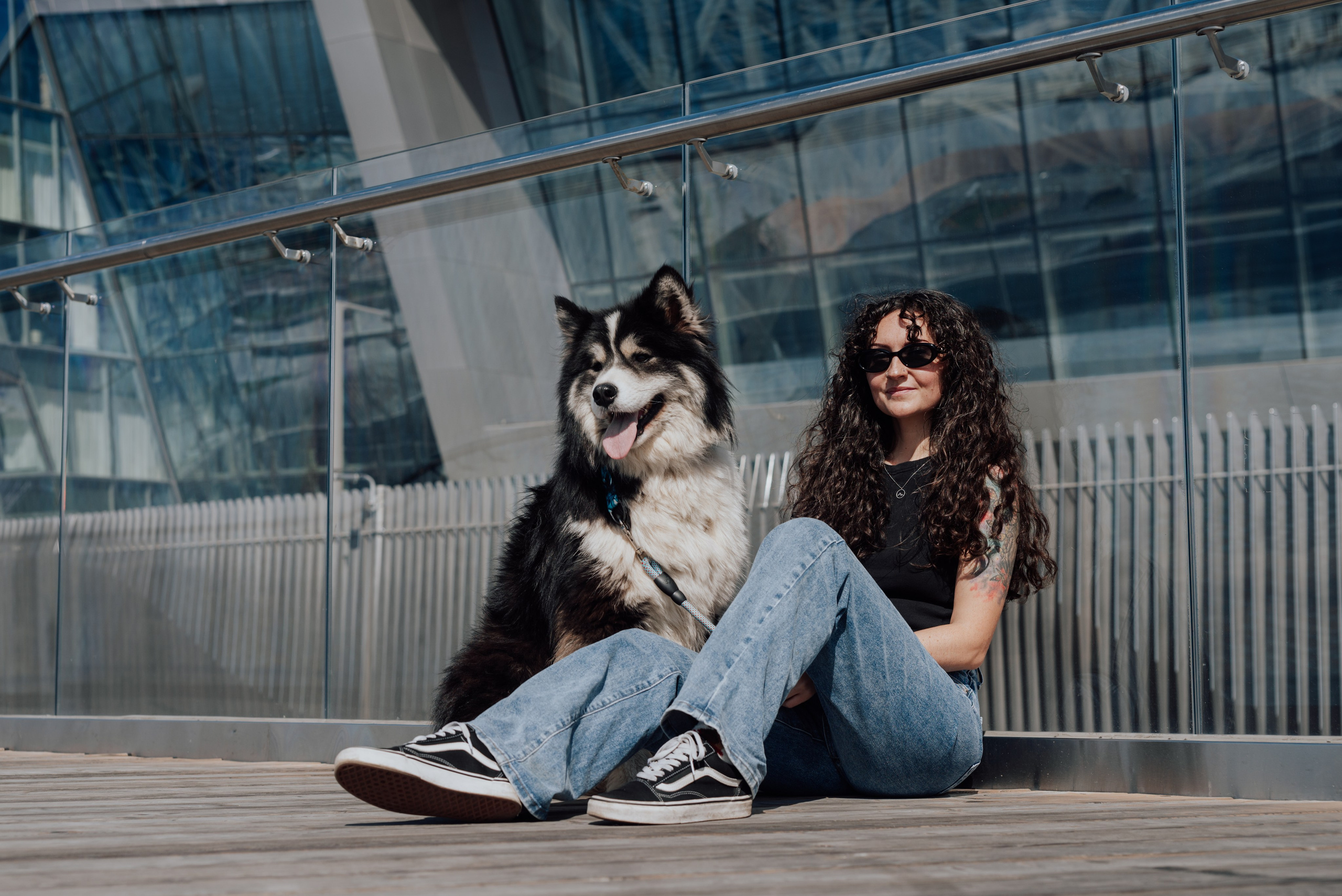 Фотодень с хаски. Фотограф в Санкт-Петербурге и Ленинградской области