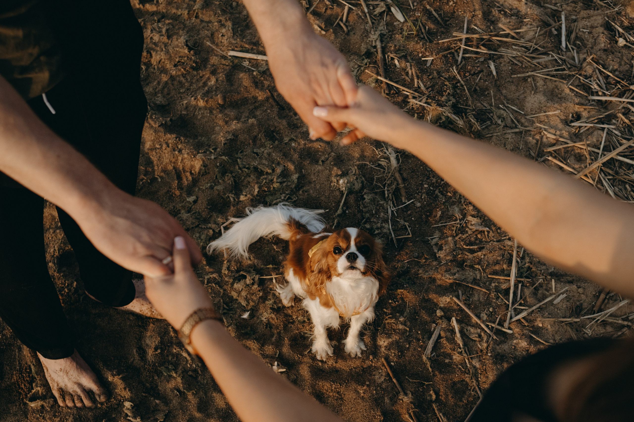 Лу и его семья. Фотограф — Анималист | Санкт-Петербург