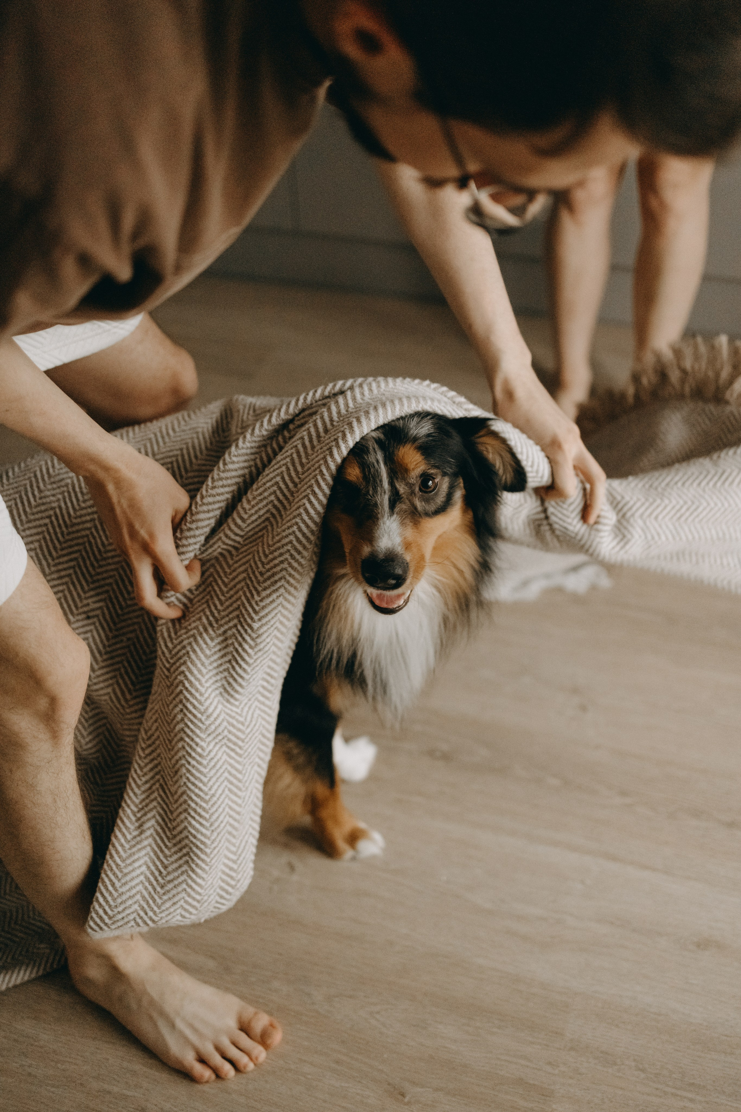 Настя, Никита и их Гром и Мяу. Фотограф — Анималист | Санкт-Петербург