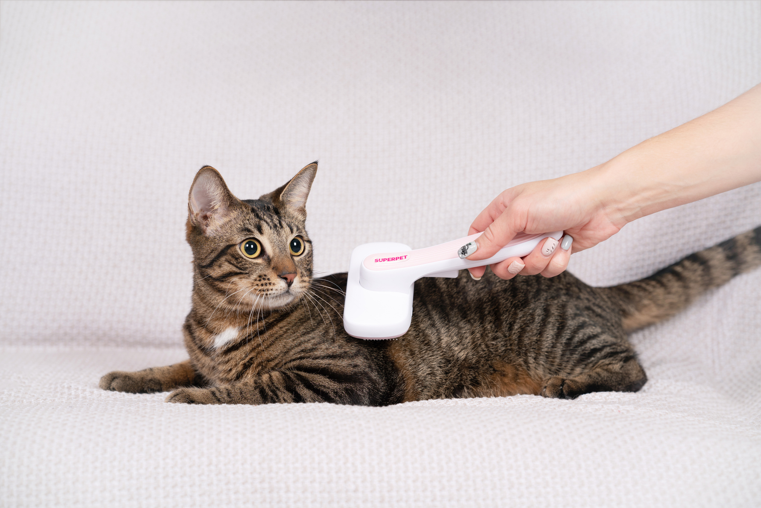 Суперпет. Фотограф анималист Осипчикова Мария