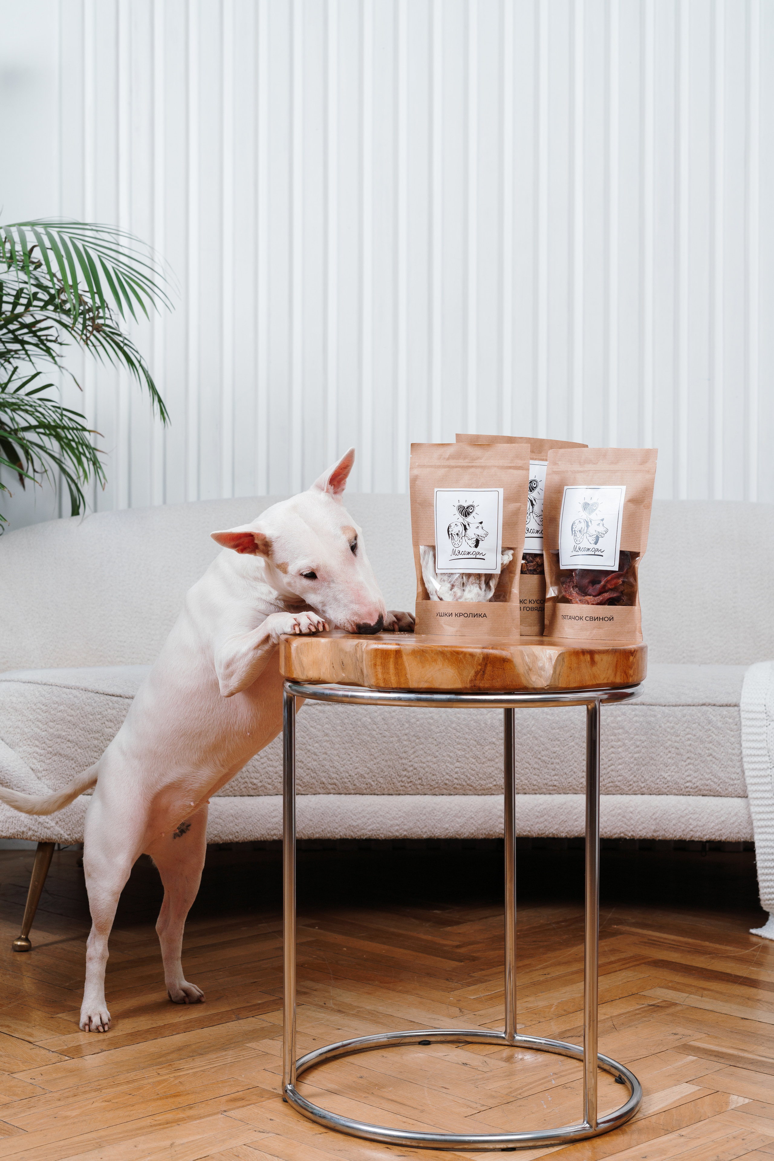 Сушенные лакомства. Фотограф анималист Осипчикова Мария