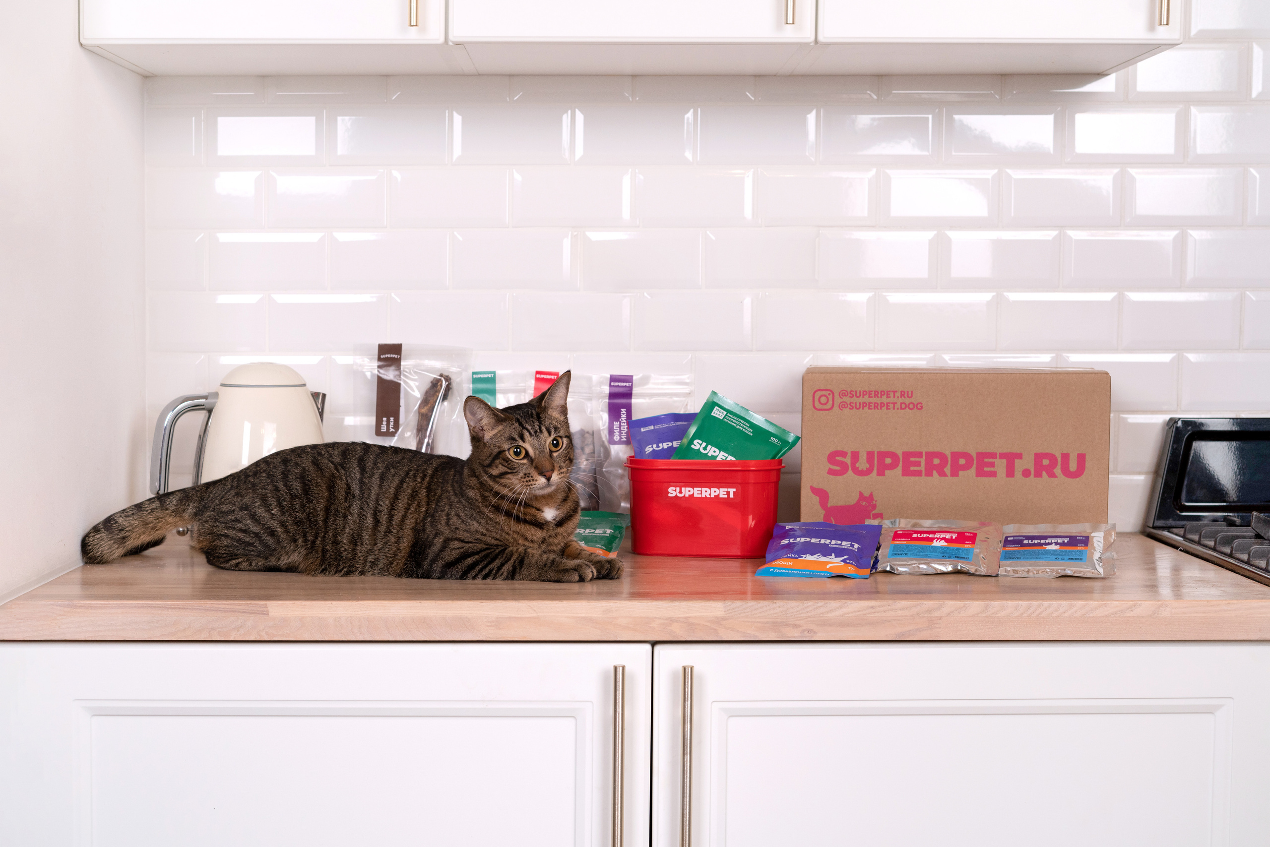 Суперпет. Фотограф анималист Осипчикова Мария