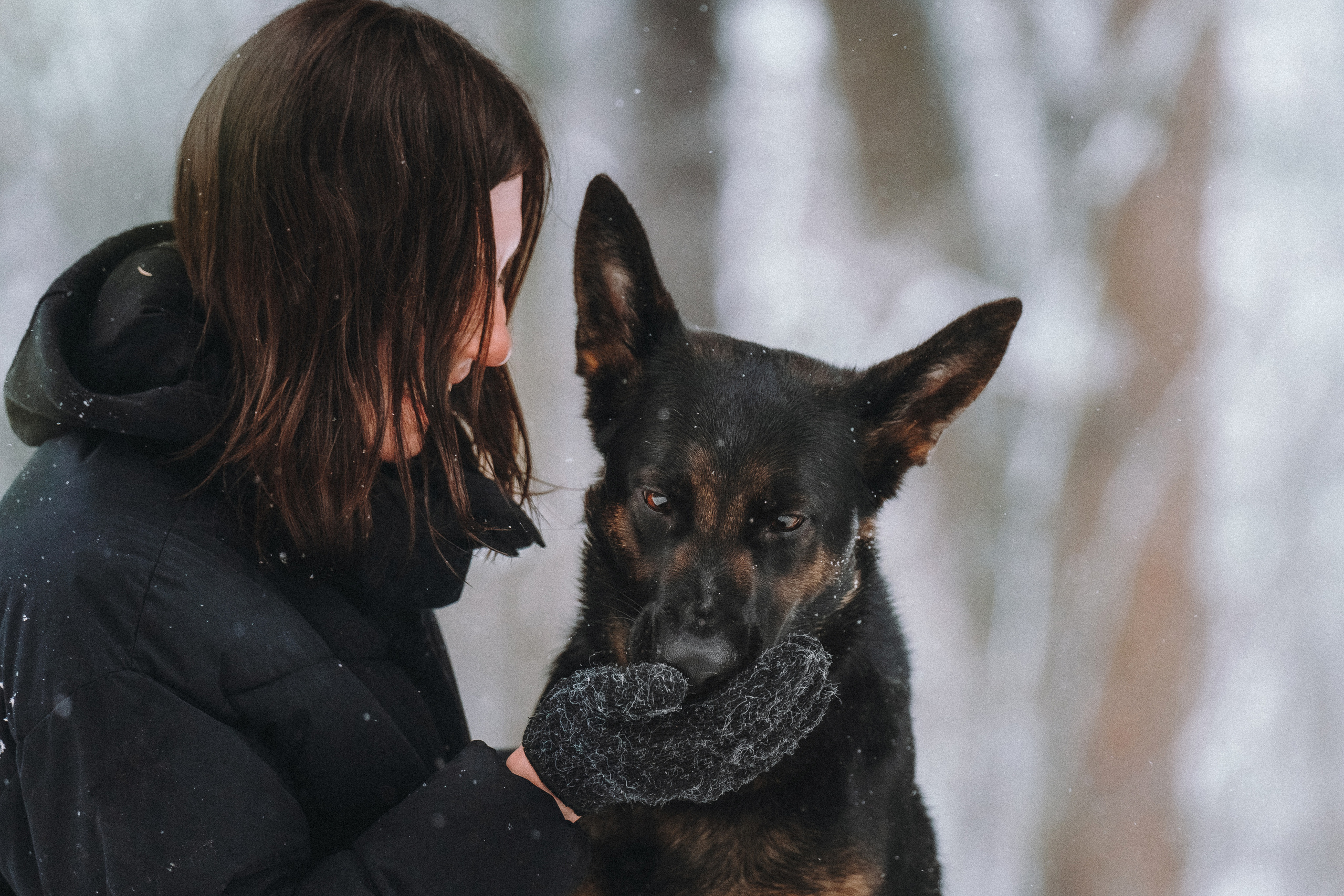 Оля, Делфи, Жара, Вита и Гранд. Фотограф анималист Осипчикова Мария