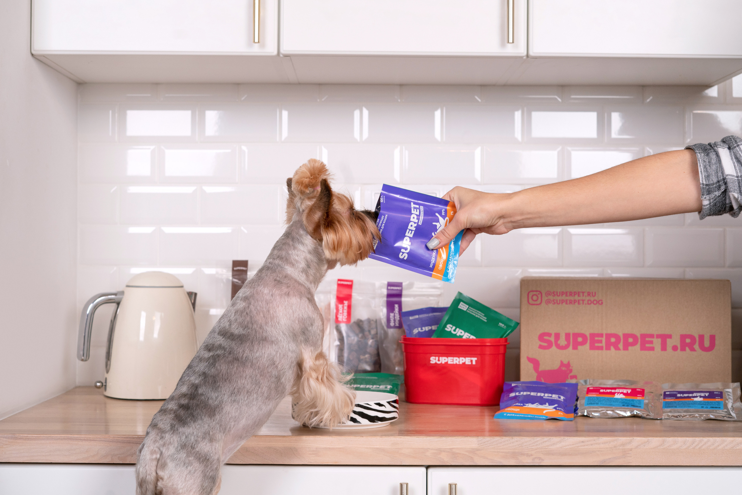 Суперпет. Фотограф анималист Осипчикова Мария