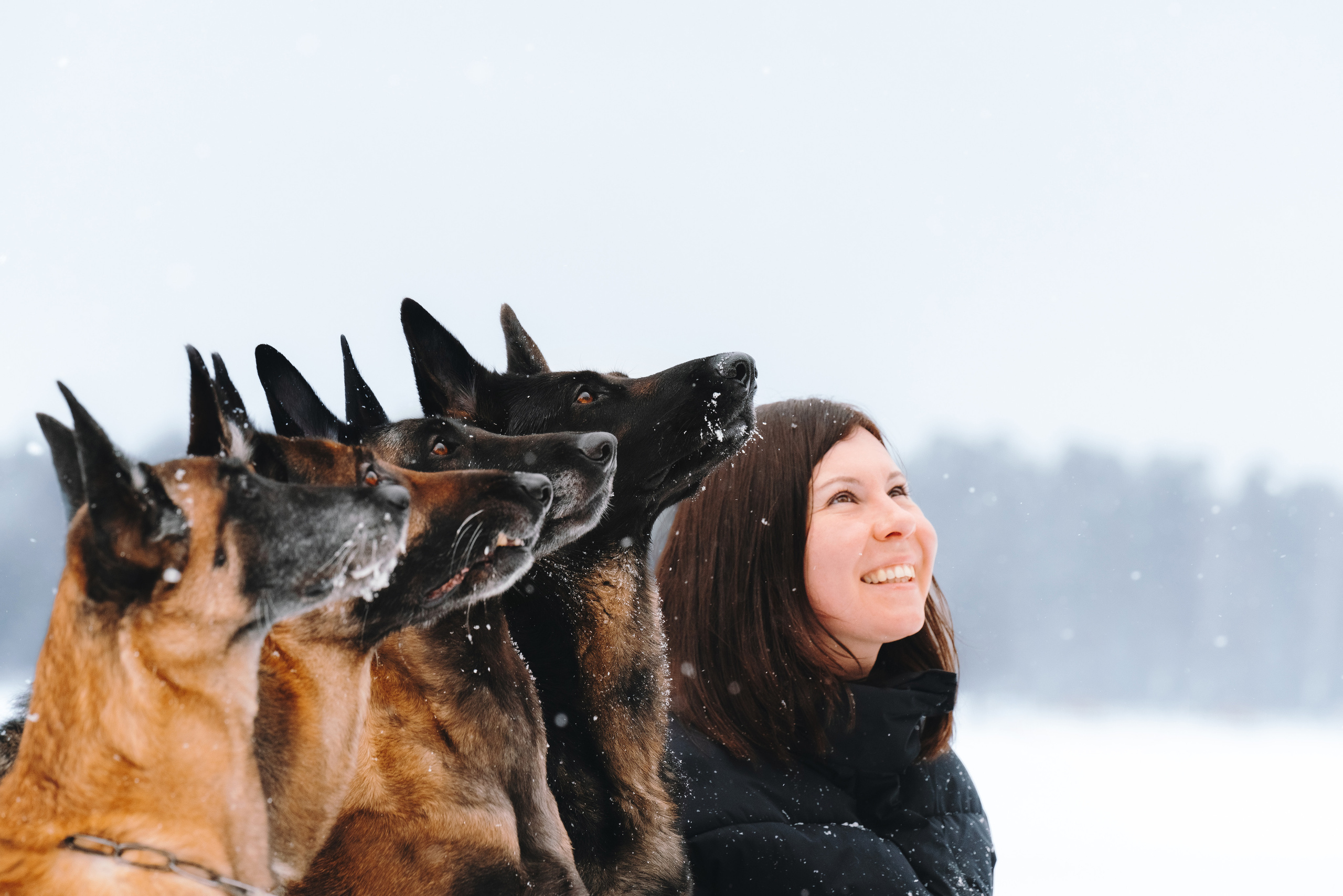 Оля, Делфи, Жара, Вита и Гранд. Фотограф анималист Осипчикова Мария