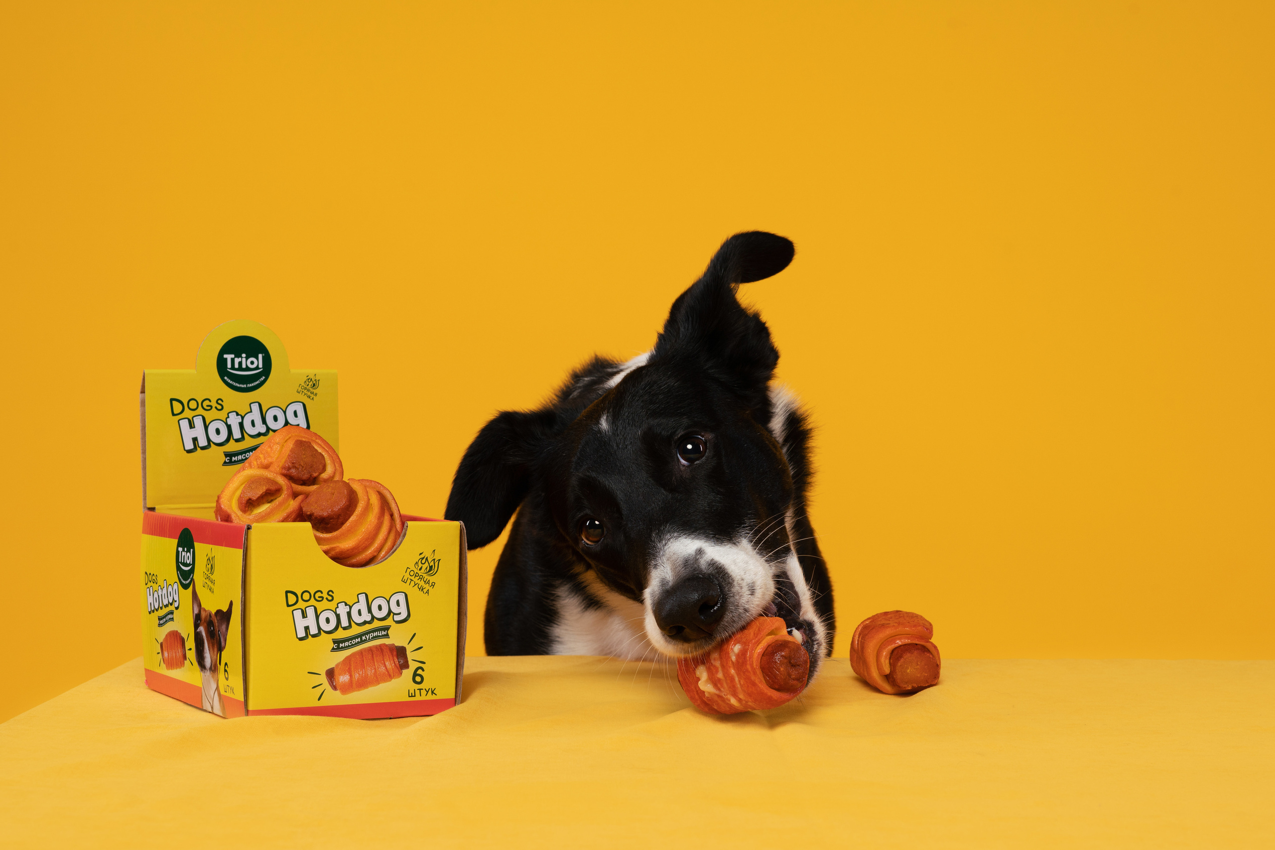 Лакомства. Фотограф анималист Осипчикова Мария