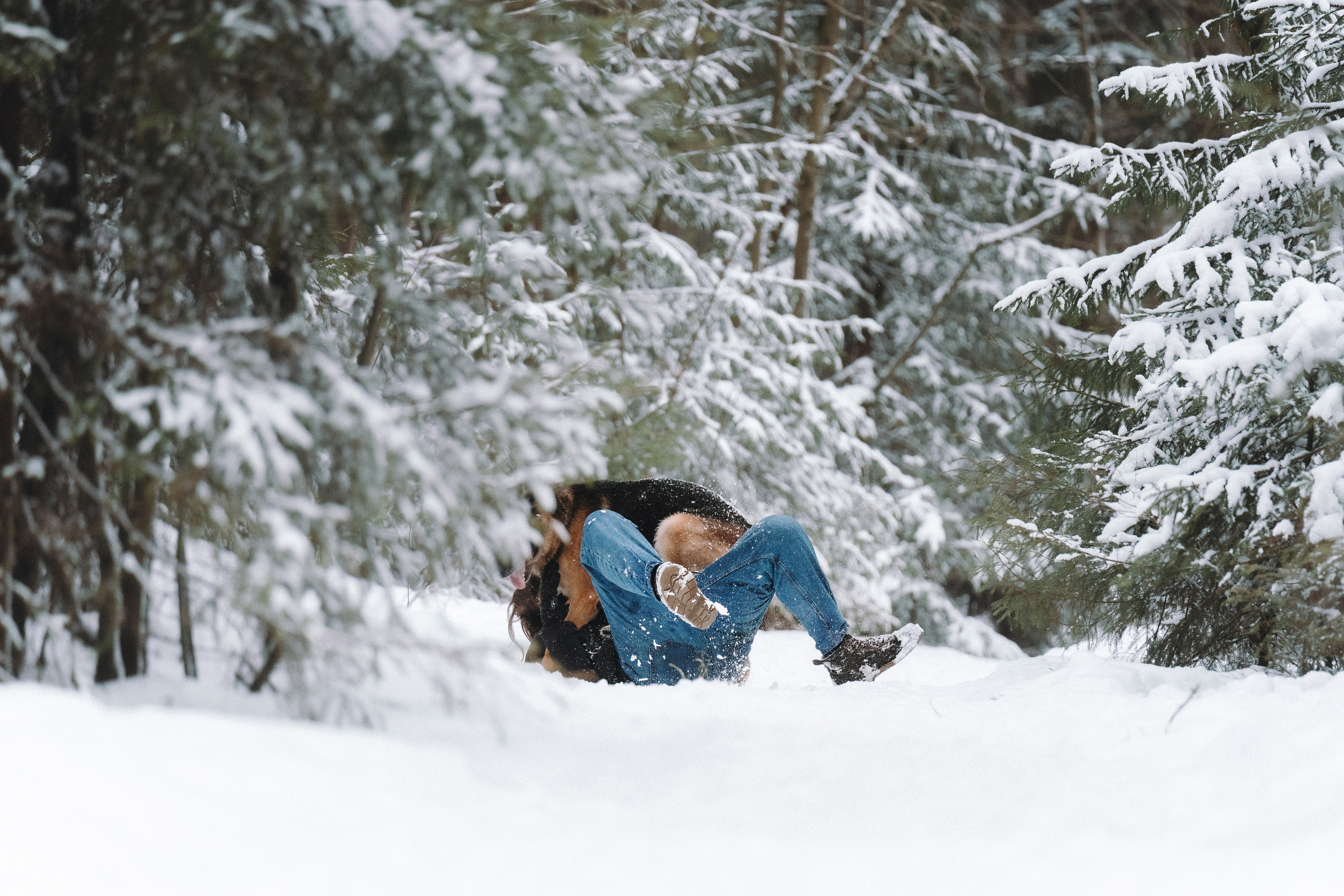 Оля, Делфи, Жара, Вита и Гранд. Фотограф анималист Осипчикова Мария