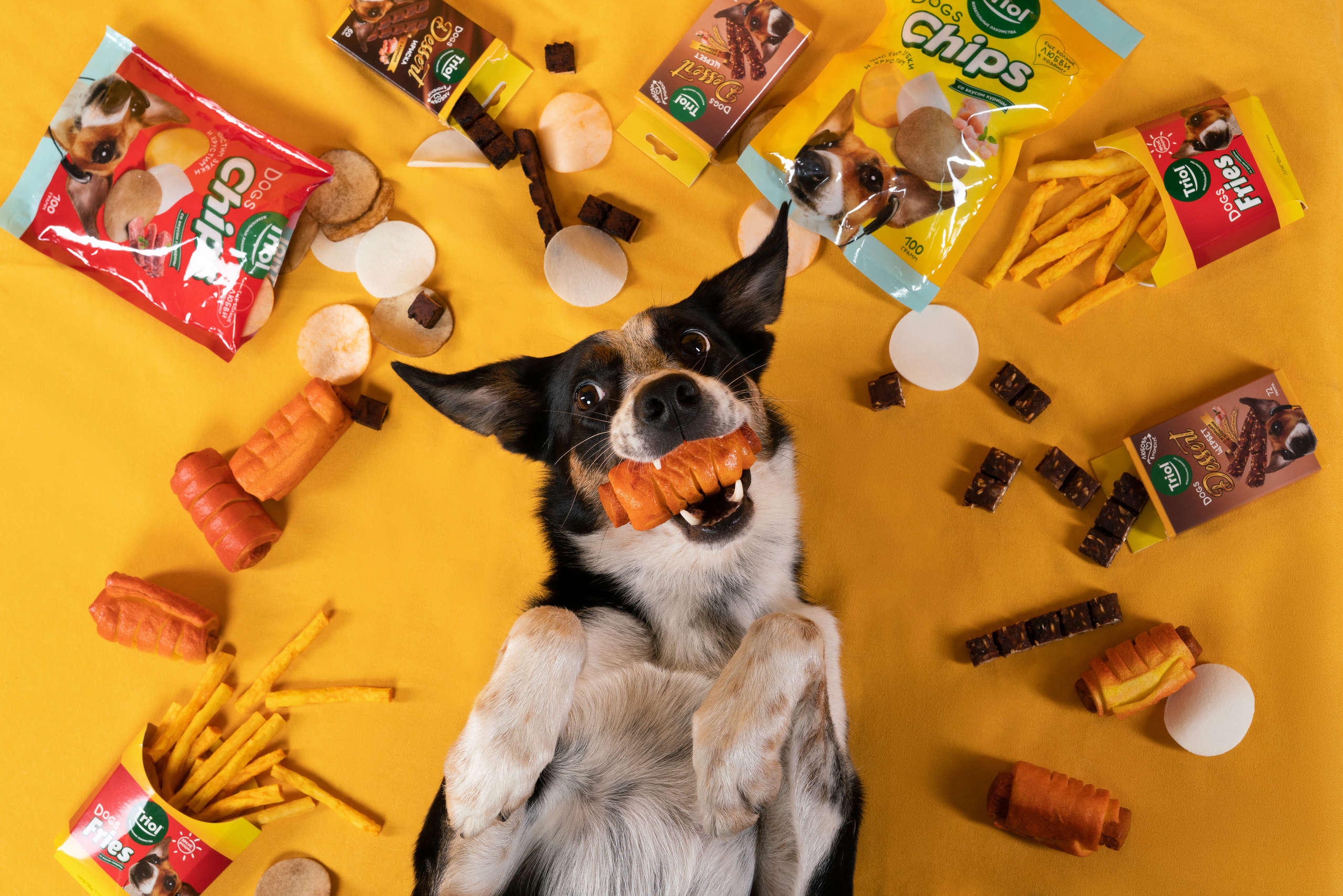 Лакомства. Фотограф анималист Осипчикова Мария