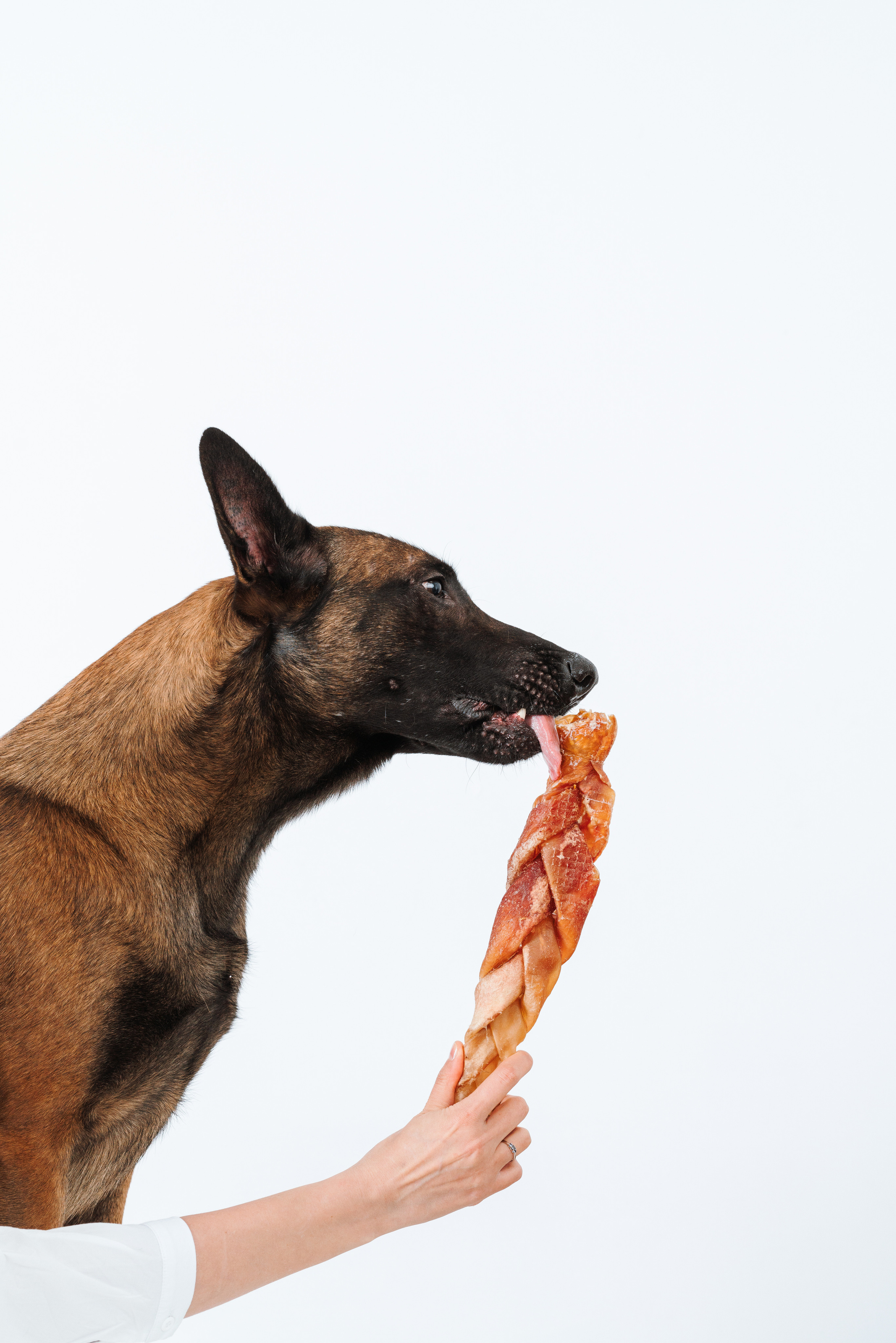 Сушенные лакомства. Фотограф анималист Осипчикова Мария