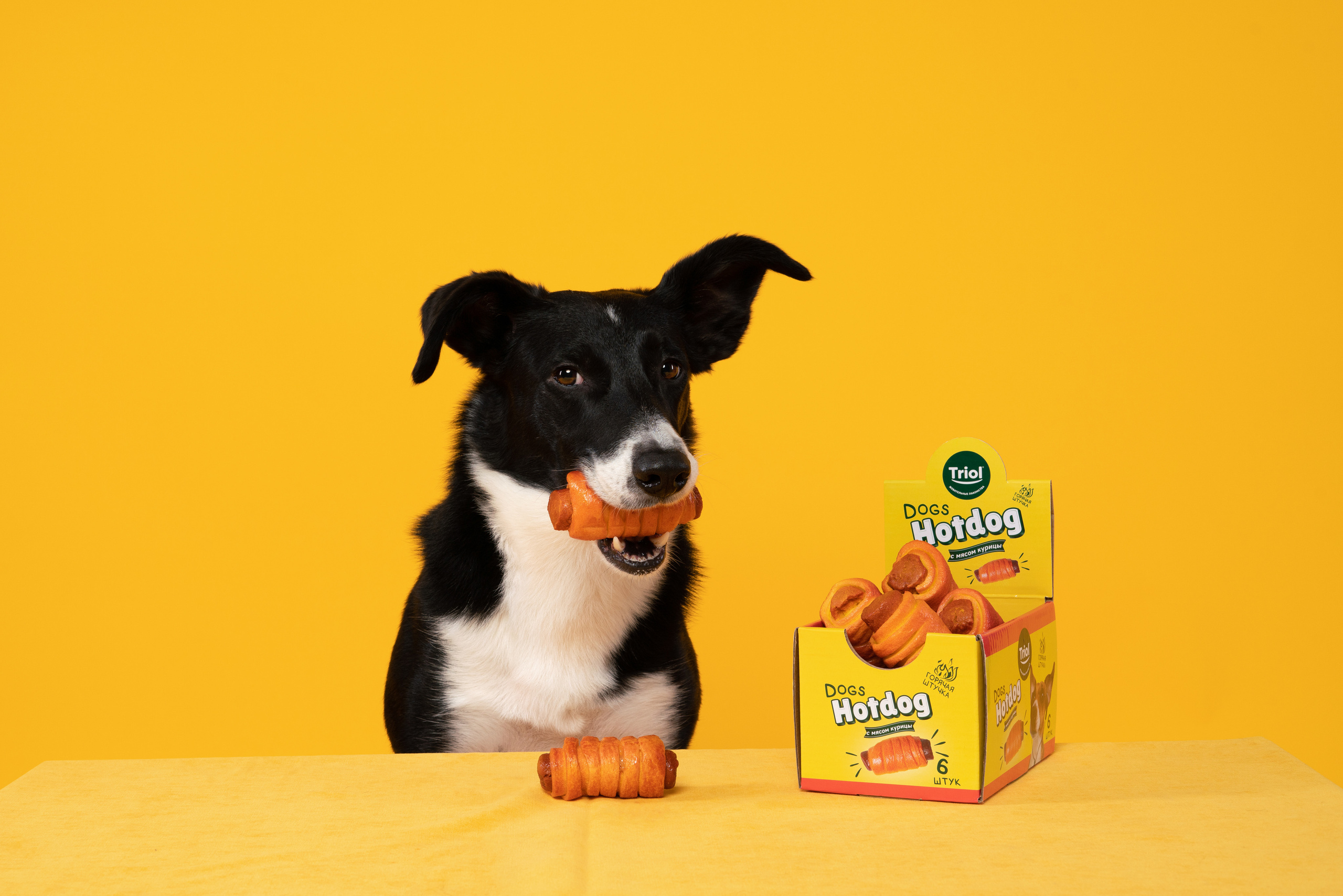 Лакомства. Фотограф анималист Осипчикова Мария