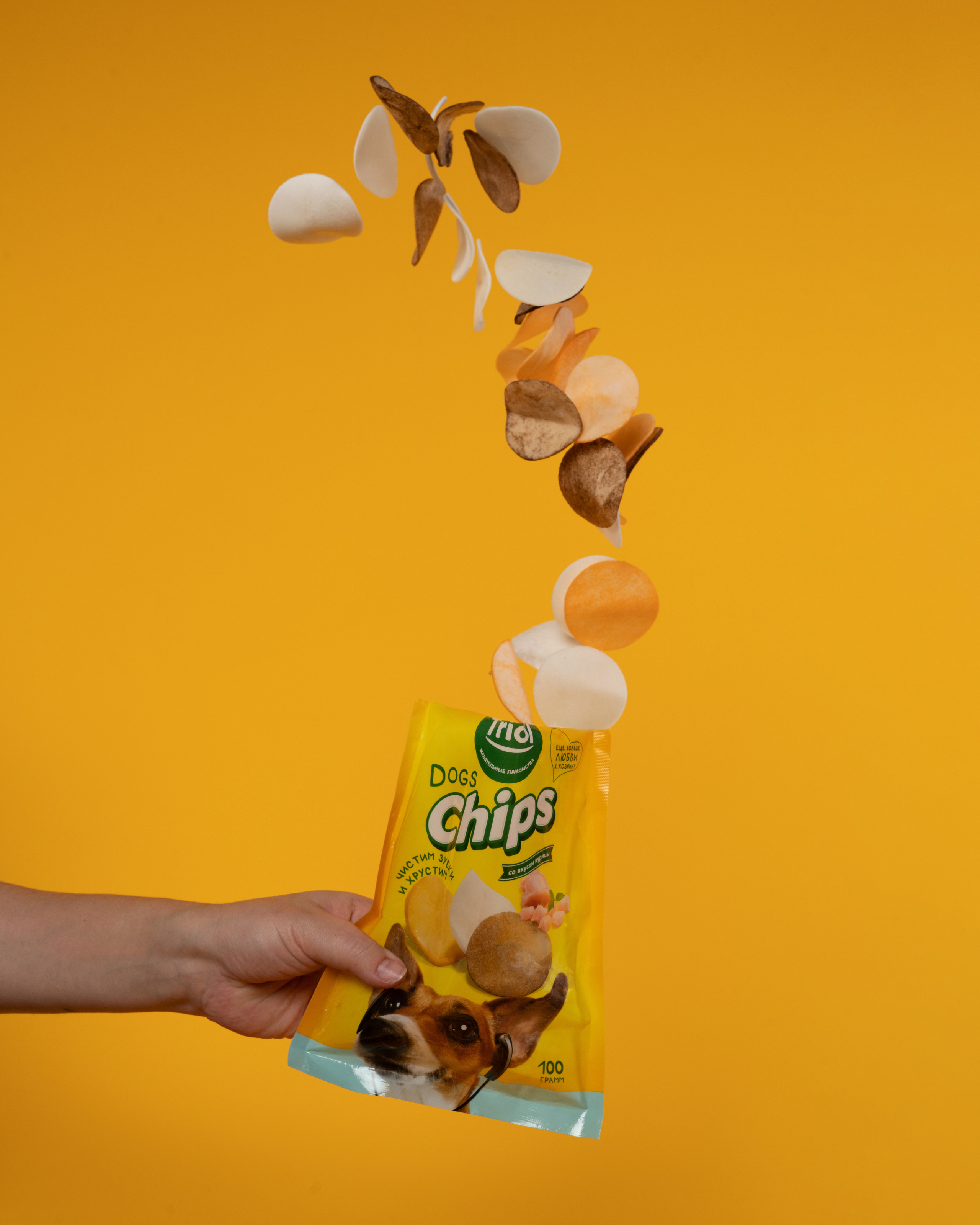 Лакомства. Фотограф анималист Осипчикова Мария