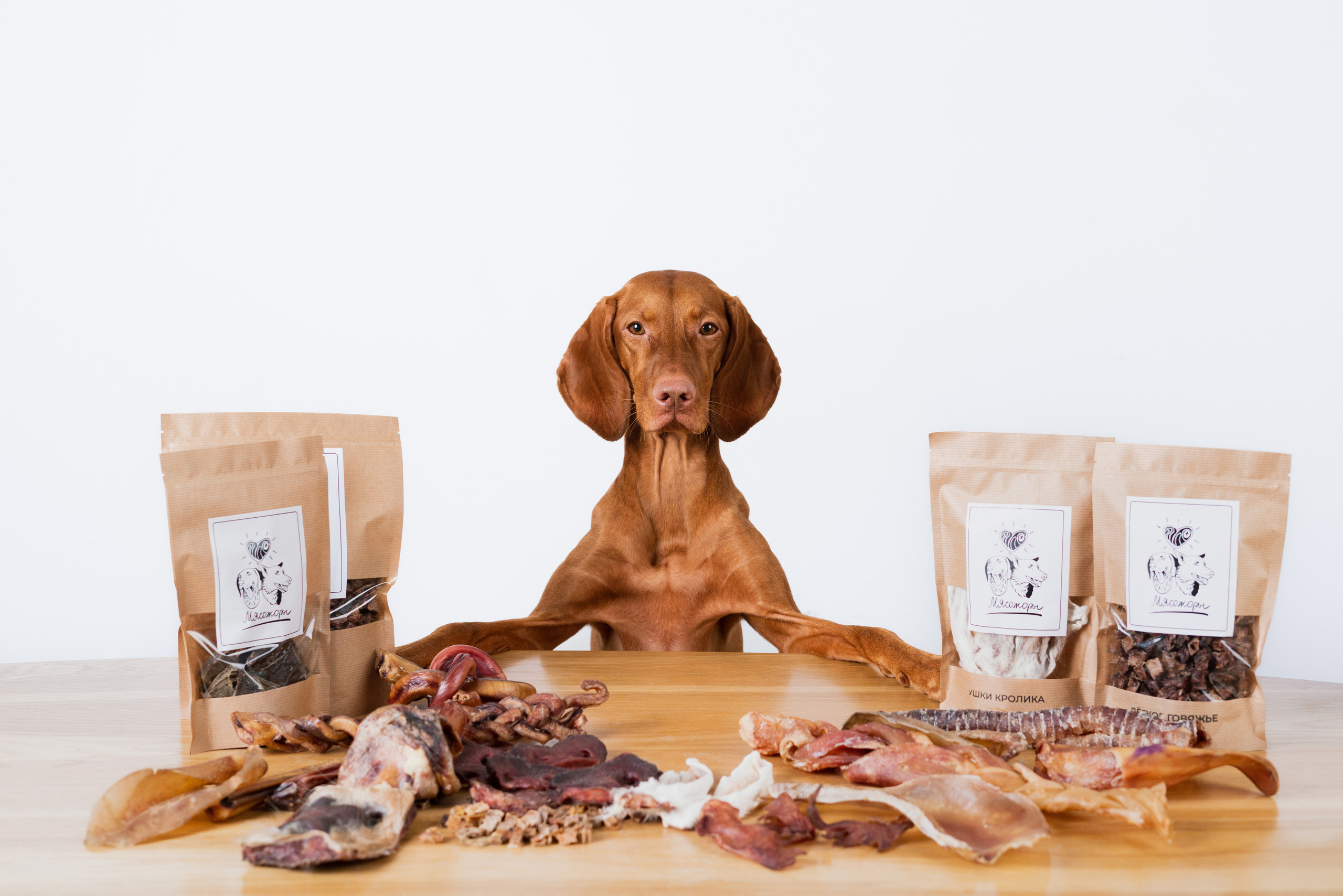 Сушенные лакомства. Фотограф анималист Осипчикова Мария