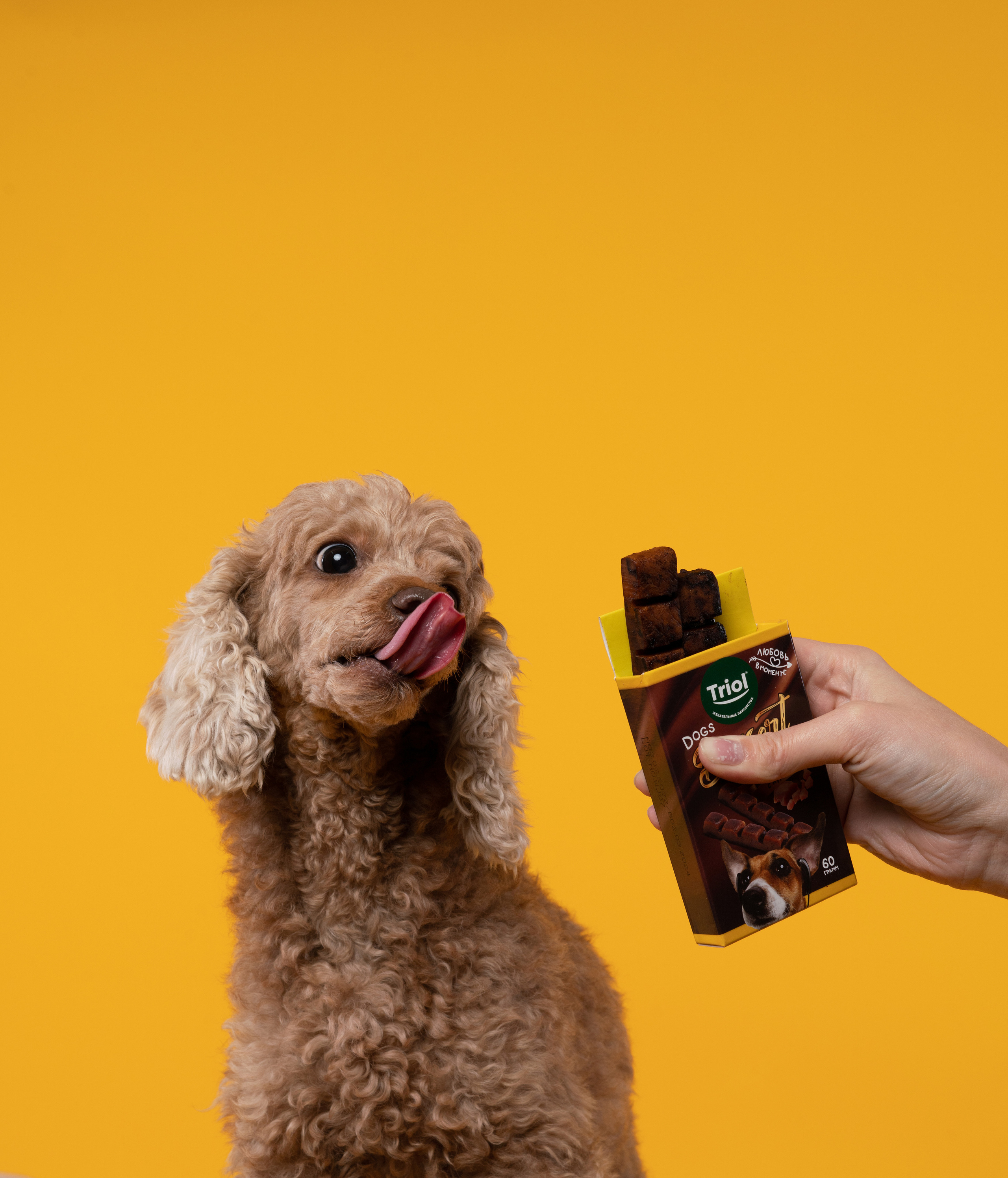 Лакомства. Фотограф анималист Осипчикова Мария