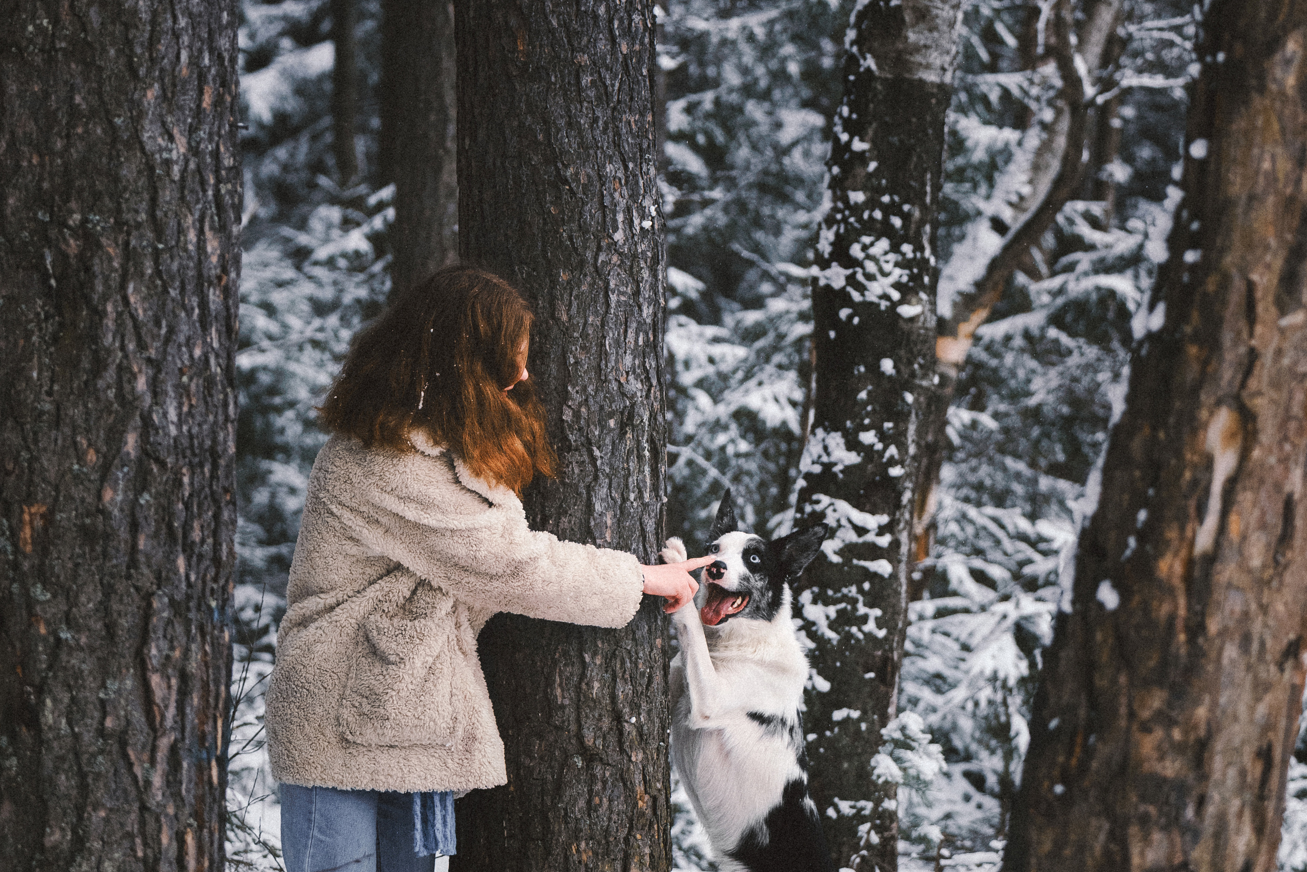 Лиля и Снейп. Фотограф анималист Осипчикова Мария