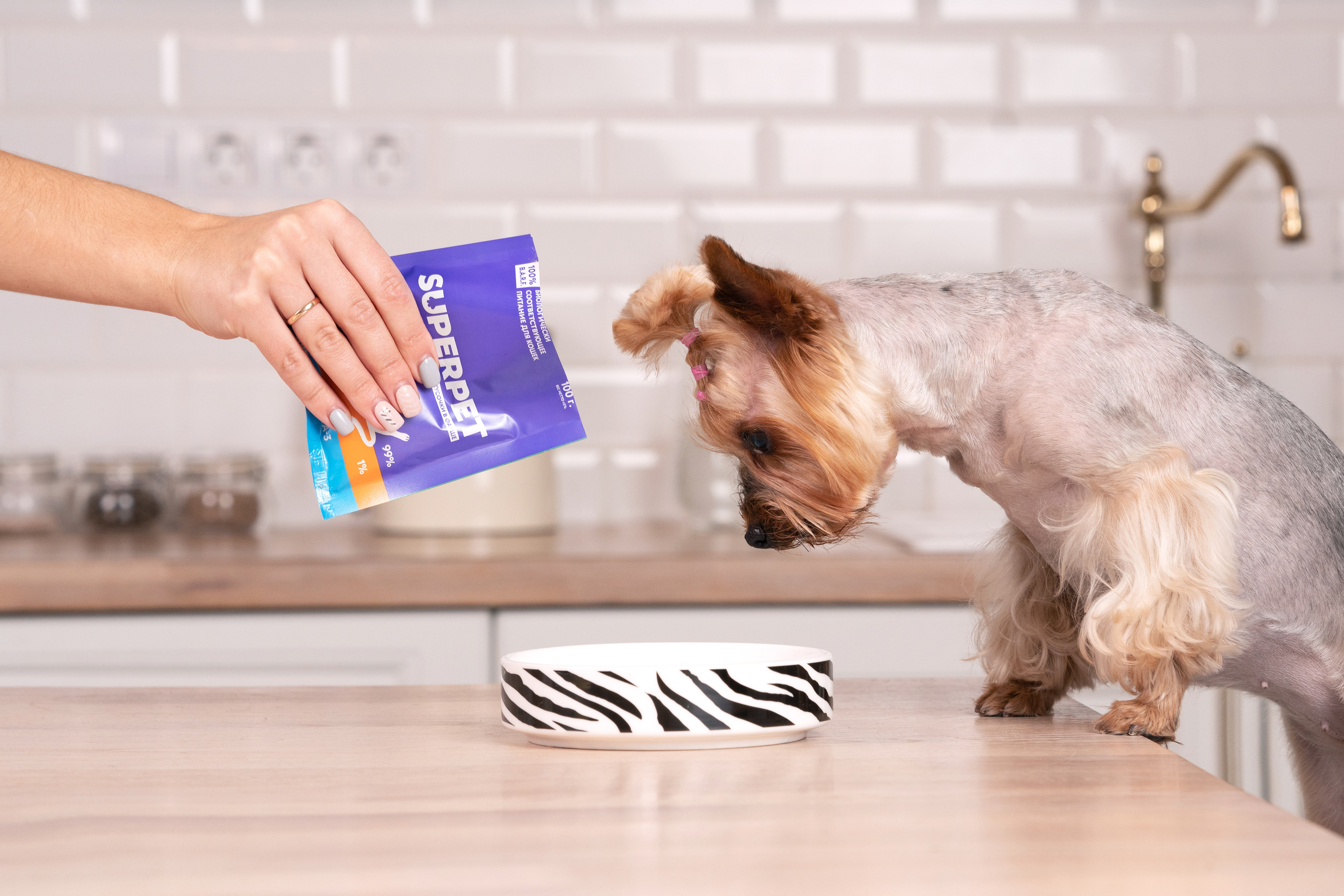 Суперпет. Фотограф анималист Осипчикова Мария