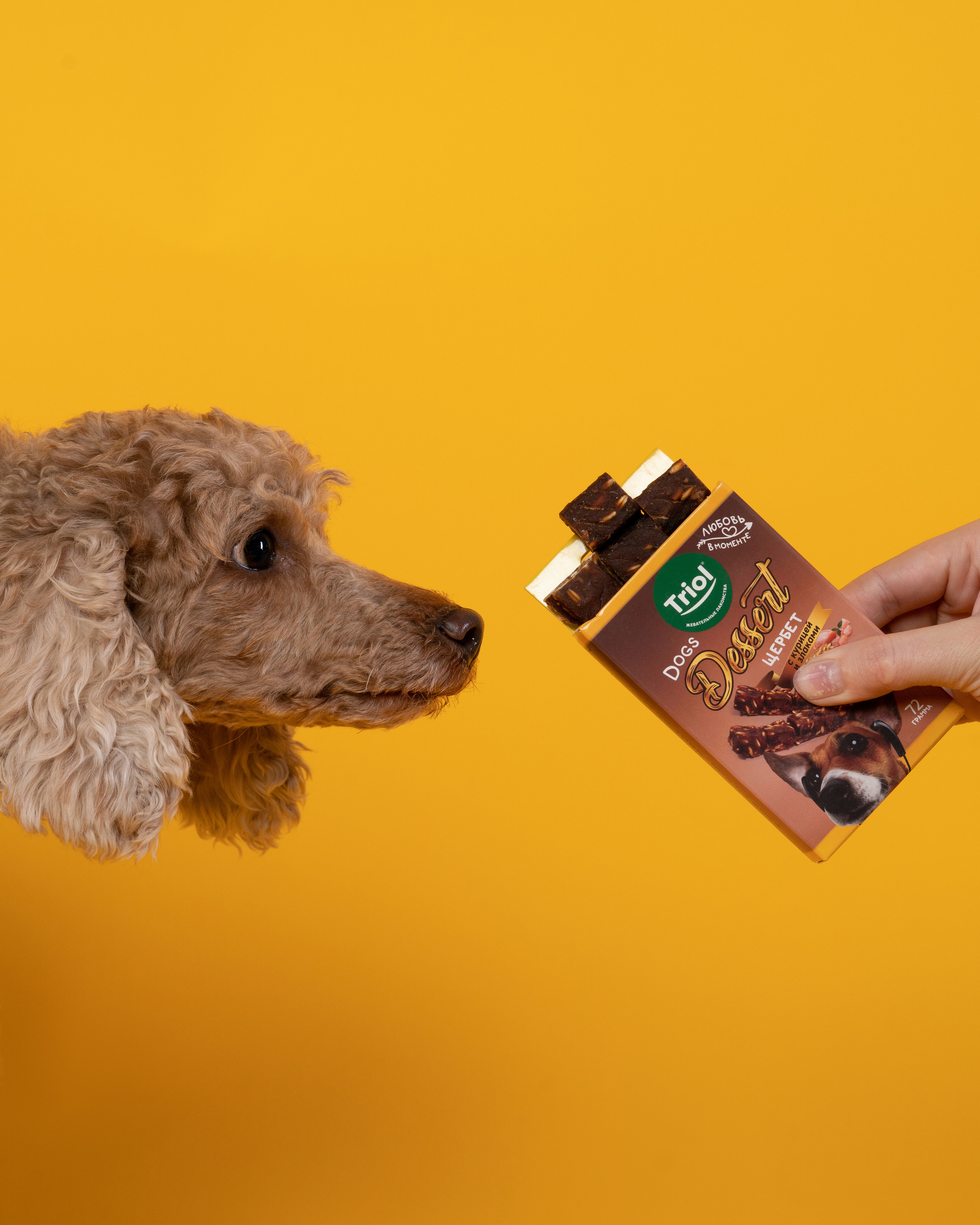 Лакомства. Фотограф анималист Осипчикова Мария